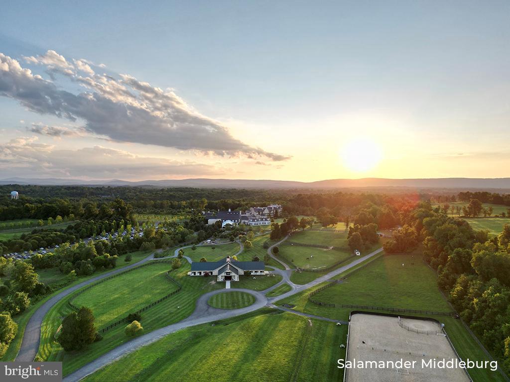 RESIDENCES AT SALAMANDER - Residential