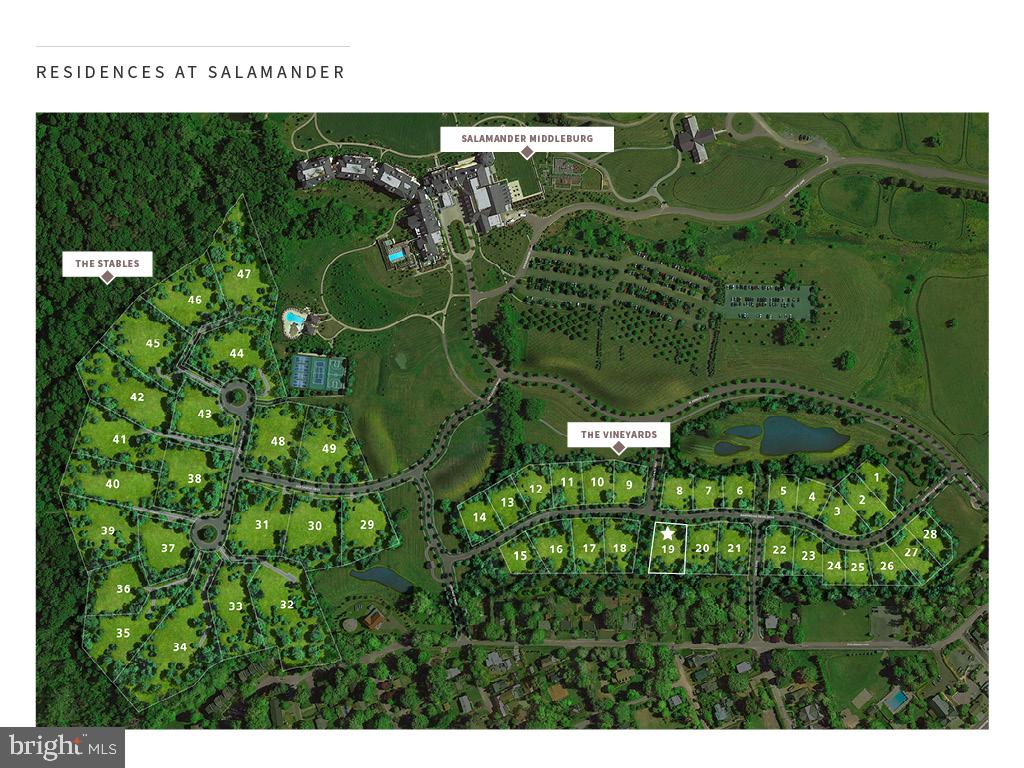 RESIDENCES AT SALAMANDER - Residential