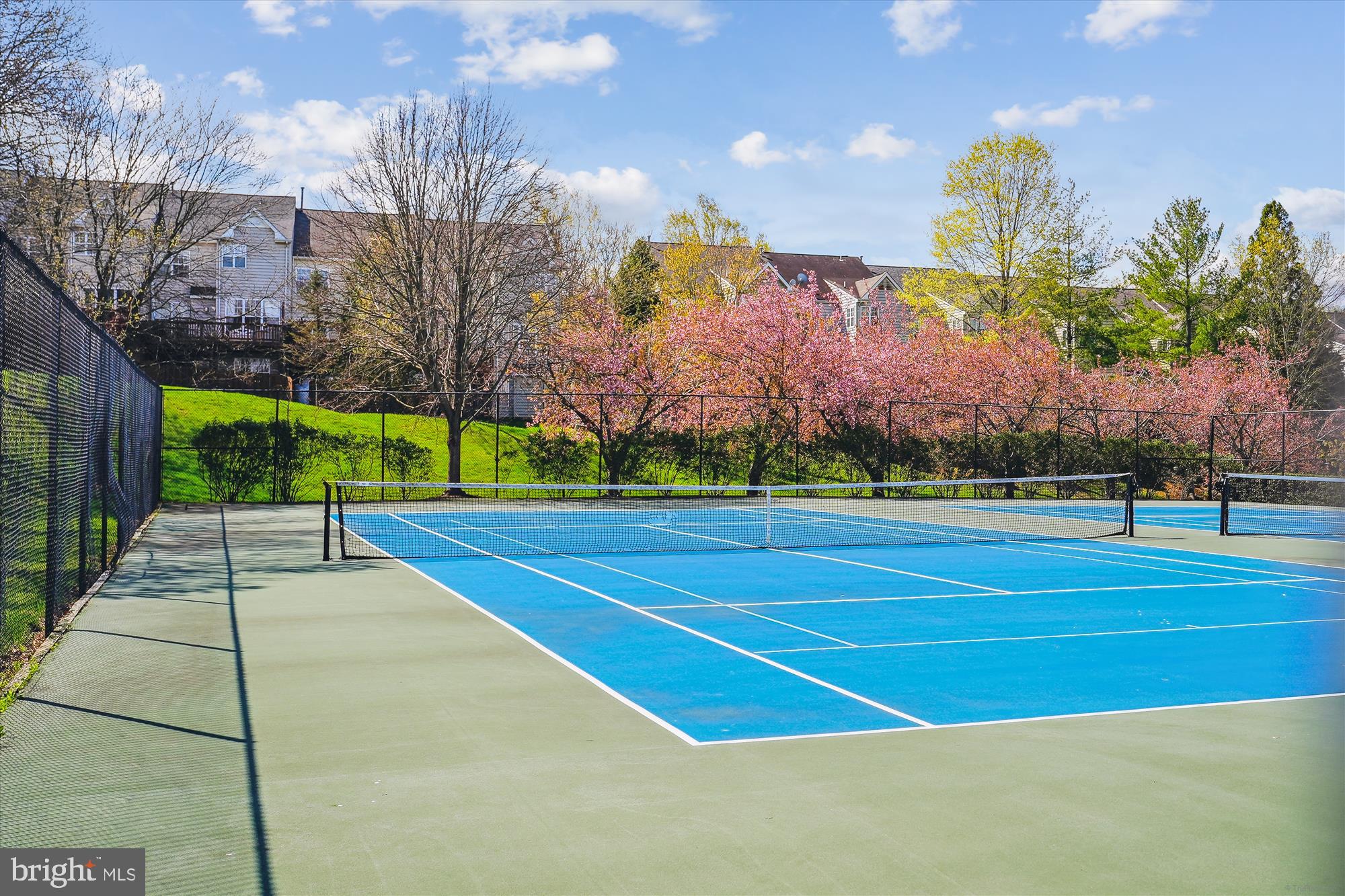 GREAT FALLS CHASE - Residential