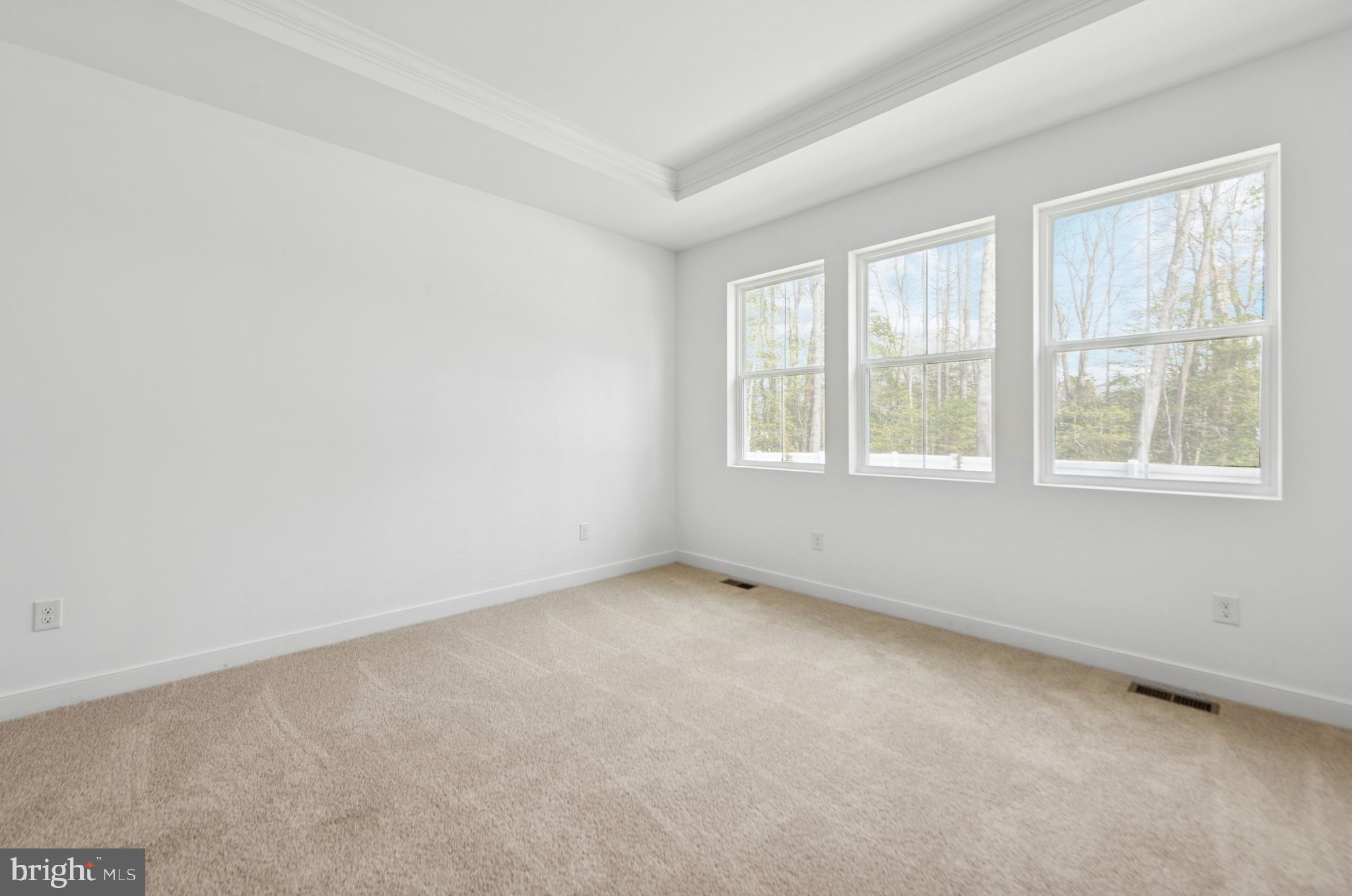 FOUR SEASONS AT KENT ISLAND - Residential