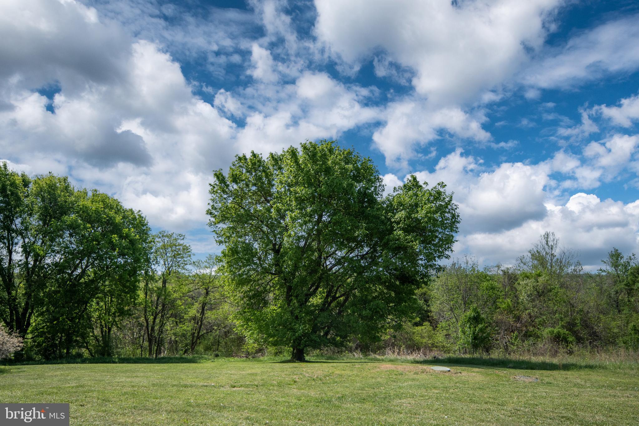 UNION RIDGE - Farm