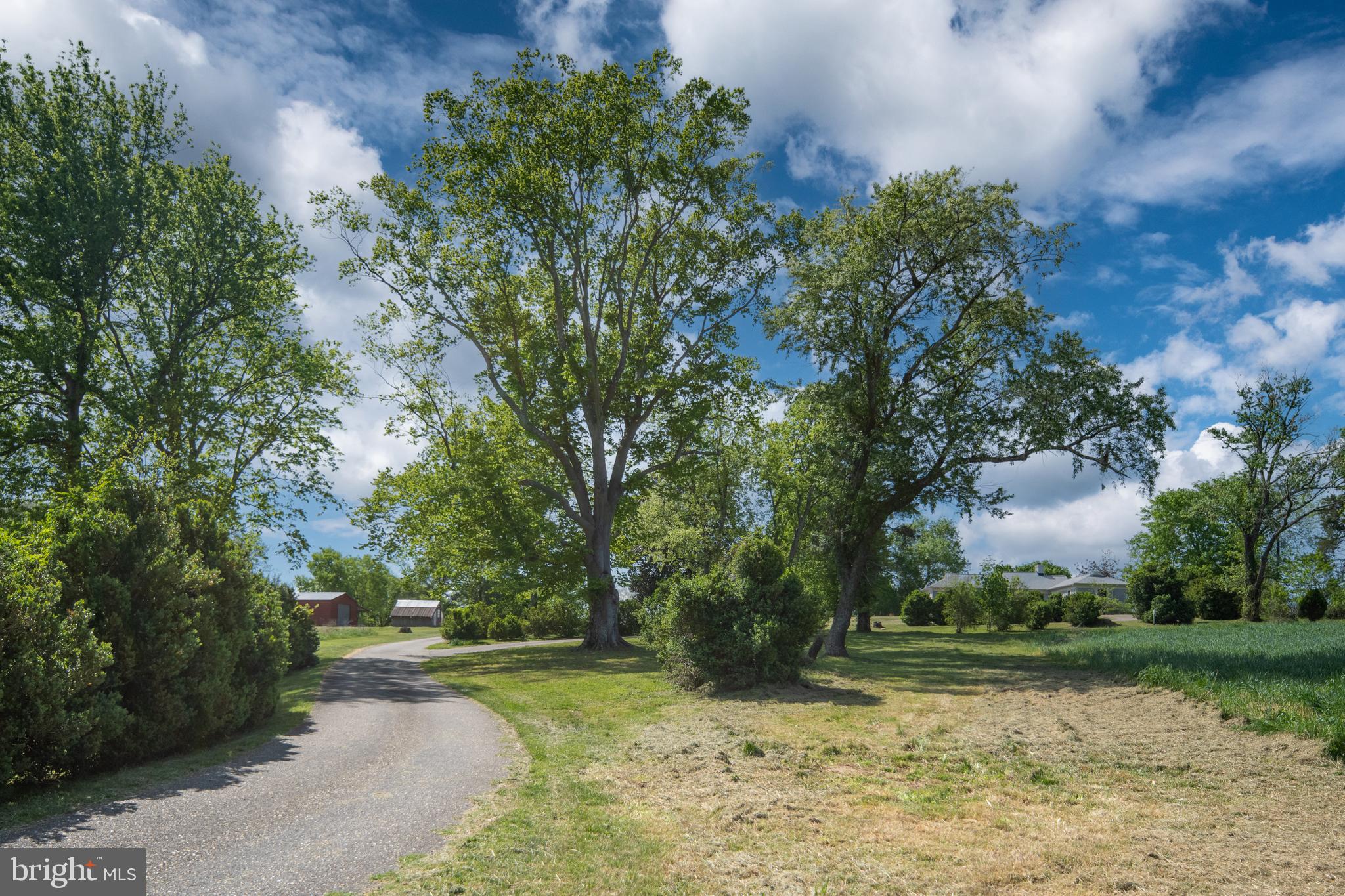 UNION RIDGE - Farm