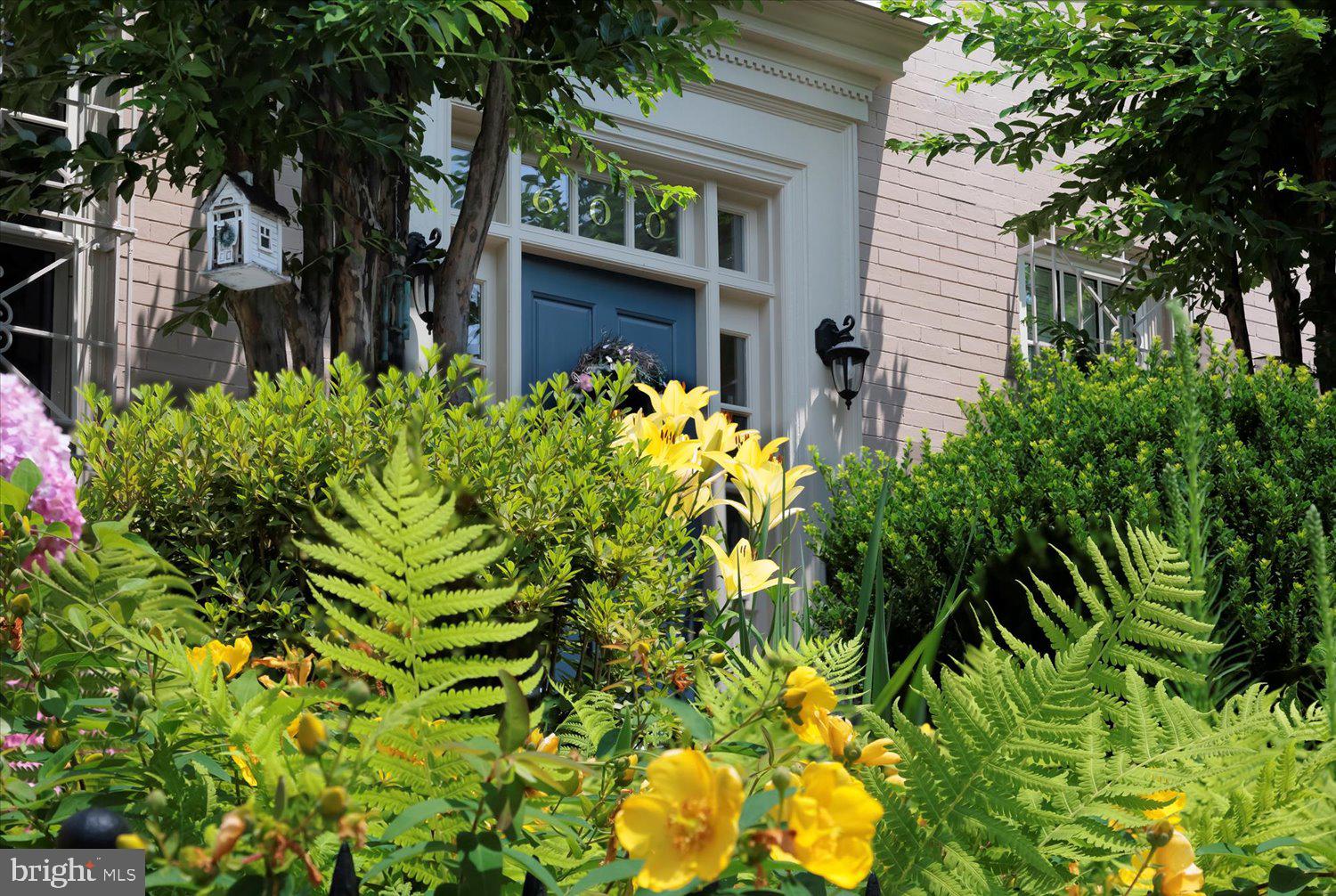 CAPITOL HILL - Residential