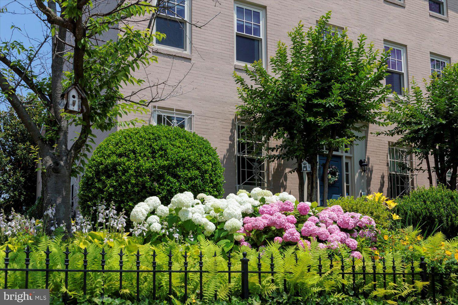 CAPITOL HILL - Residential