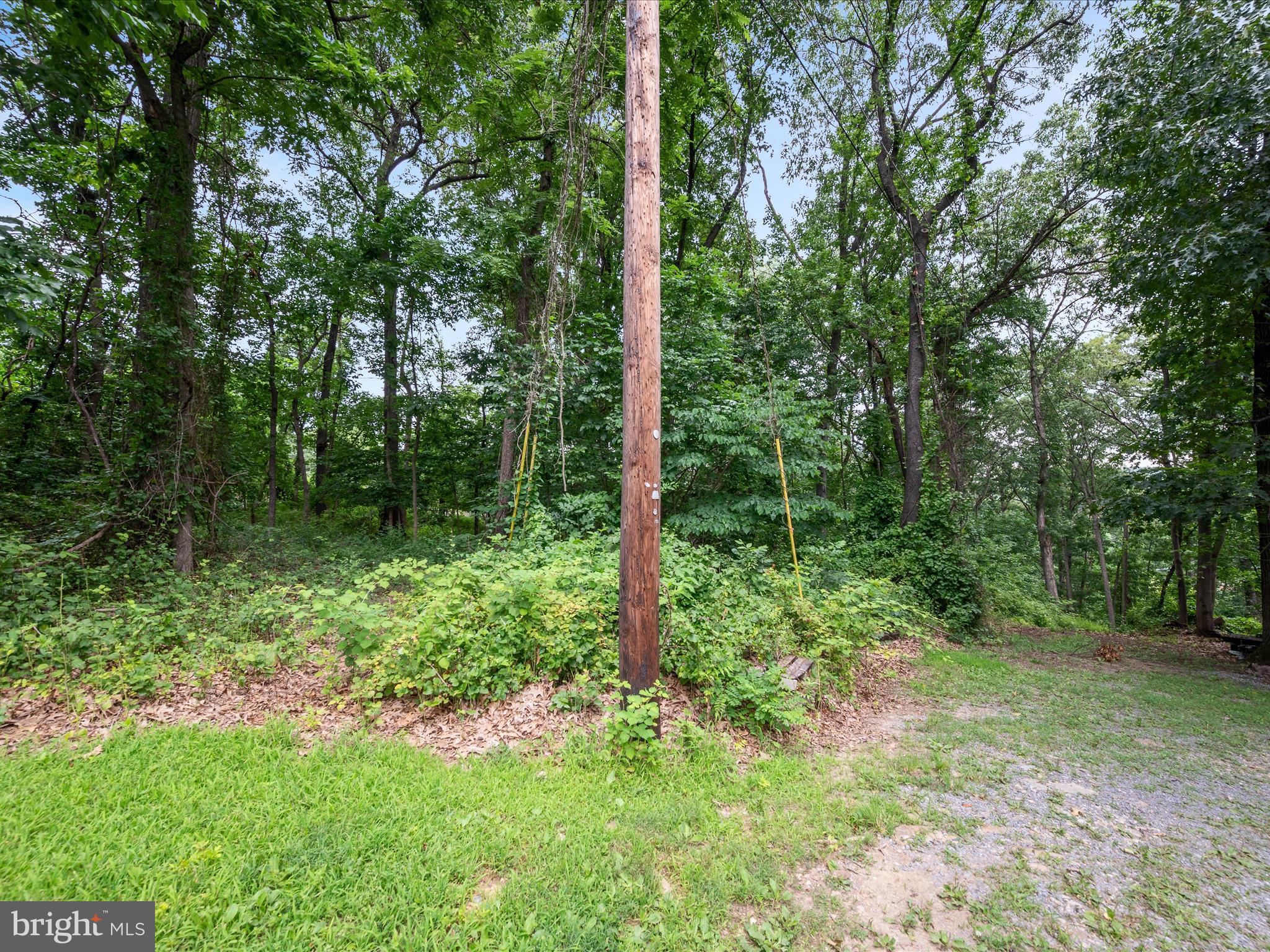 NONE AVAILABLE - Land