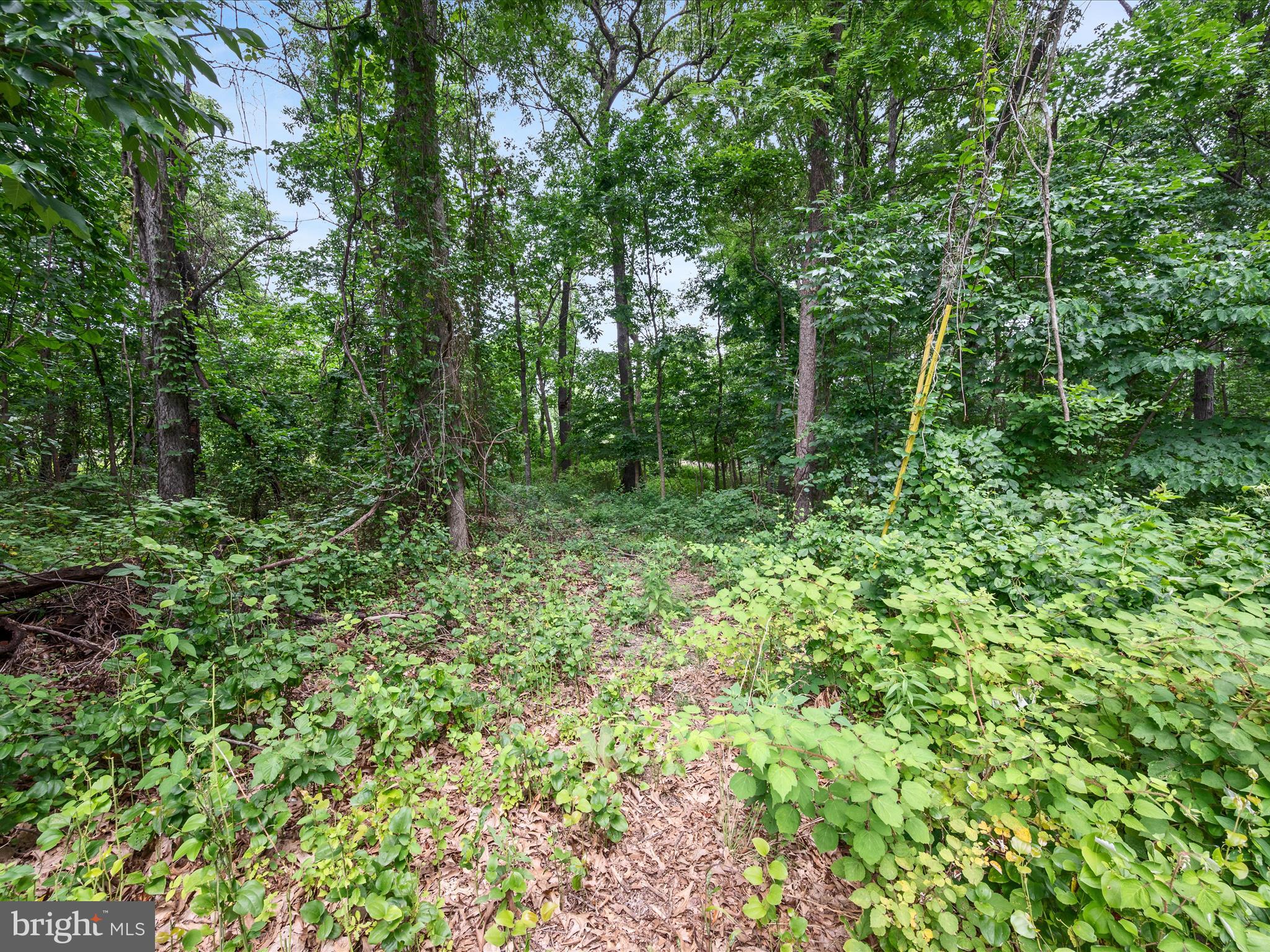 NONE AVAILABLE - Land