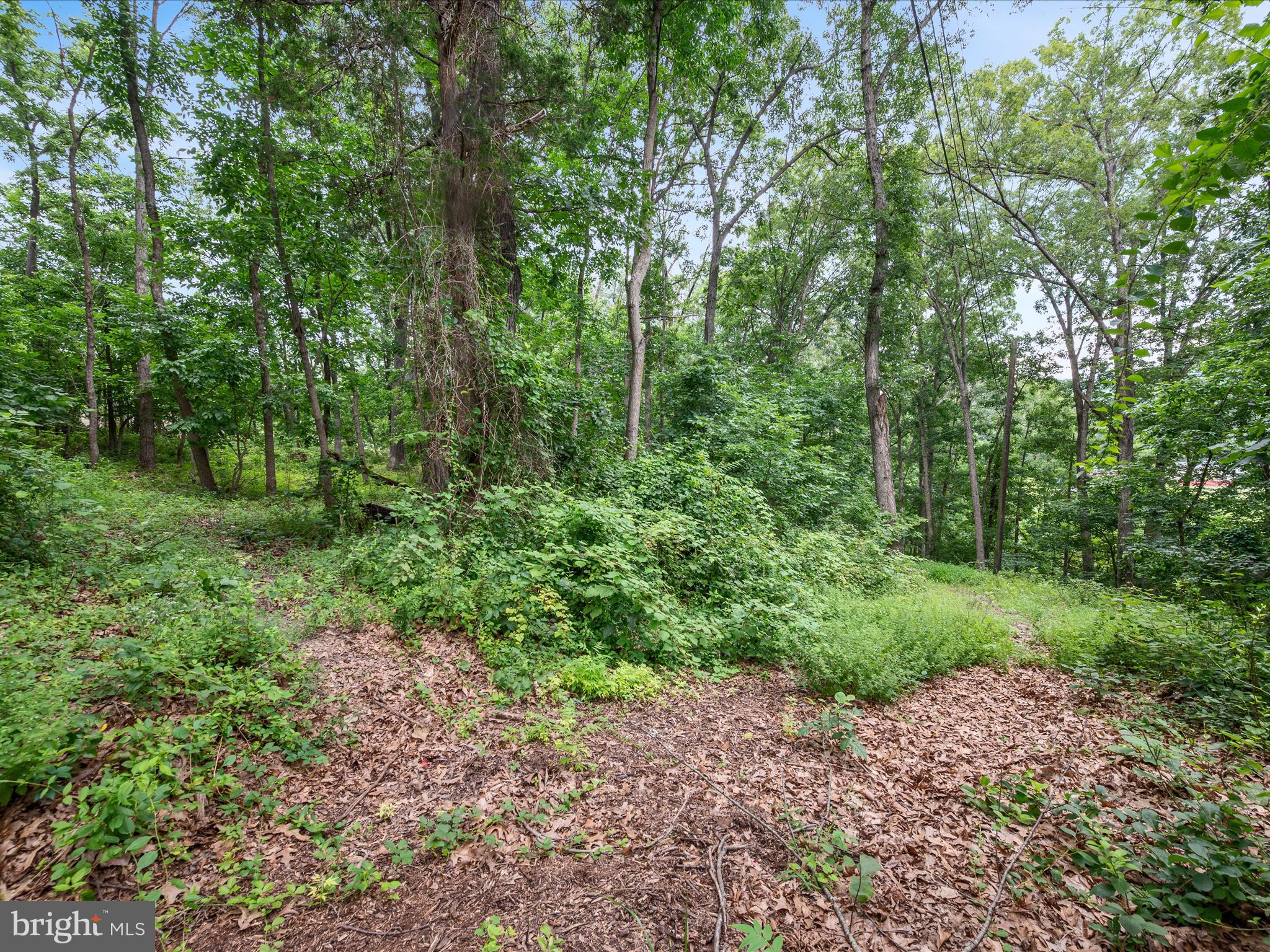 NONE AVAILABLE - Land