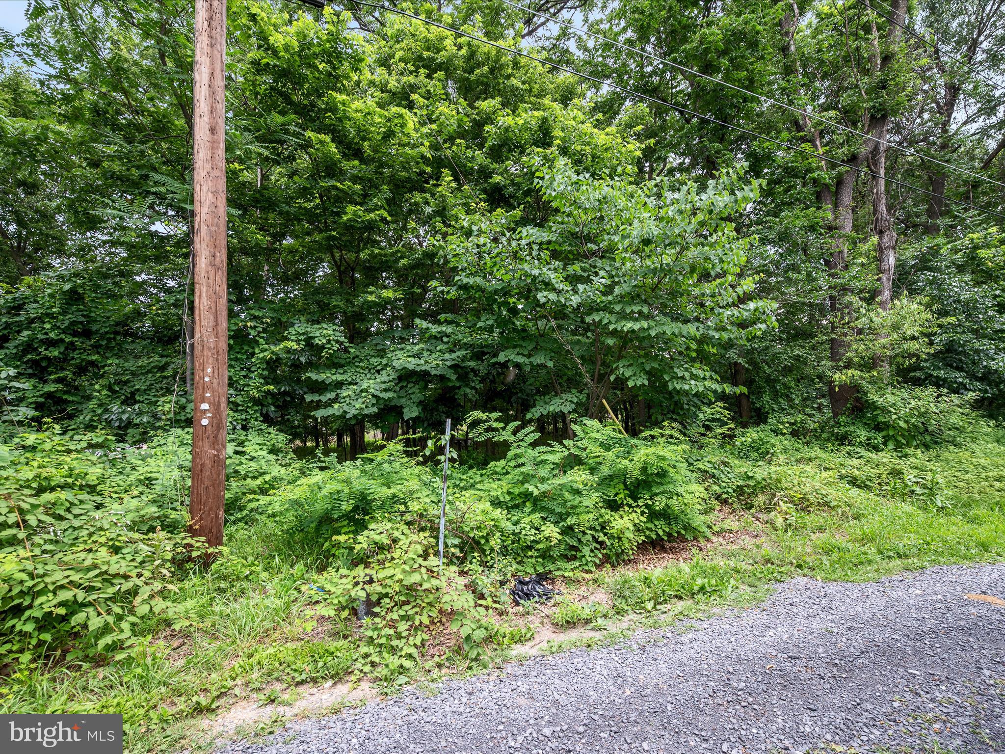 NONE AVAILABLE - Land