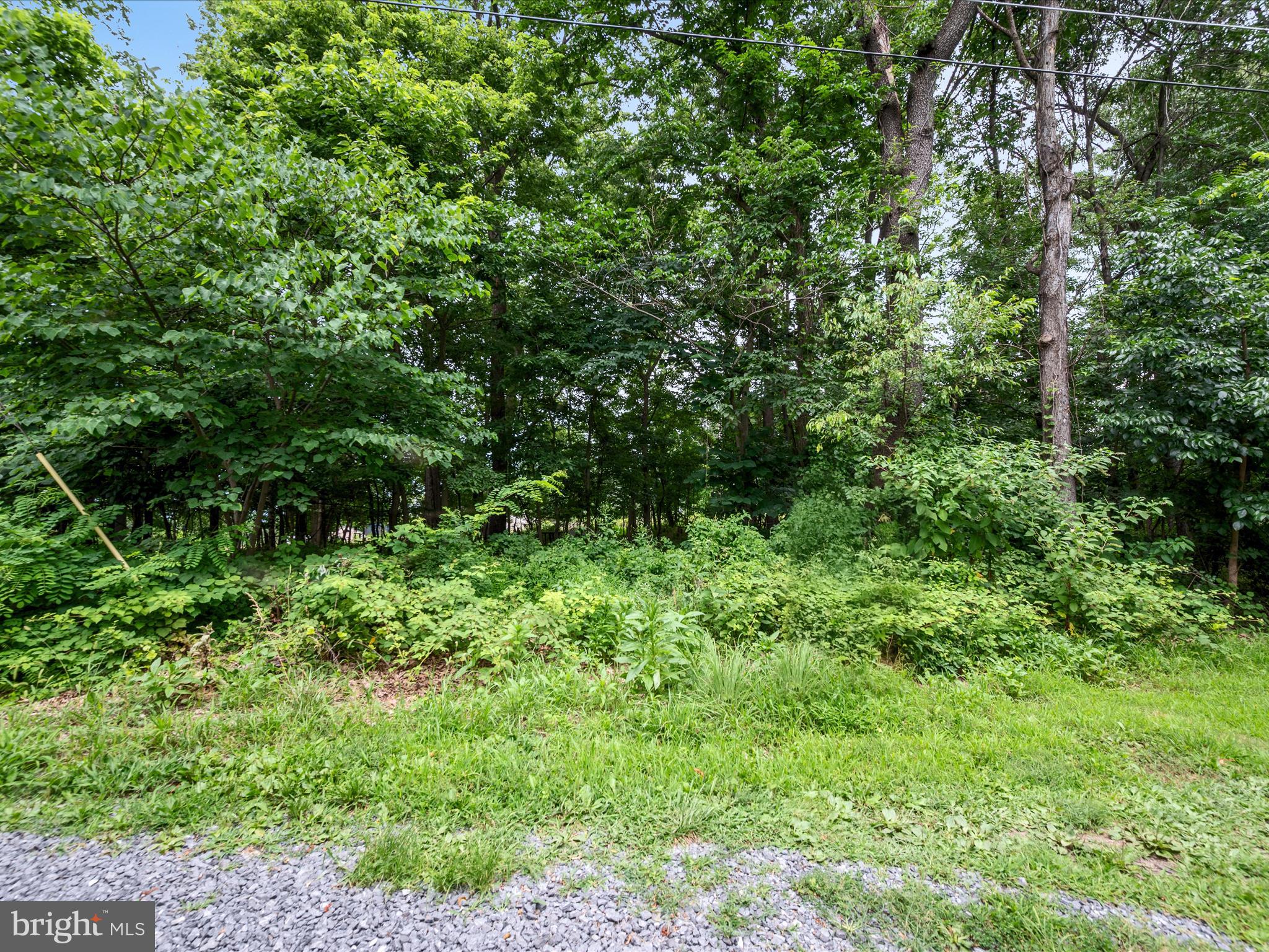 NONE AVAILABLE - Land