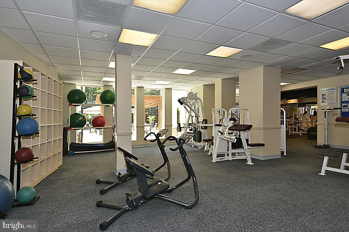 ETON SQUARE - Residential Lease