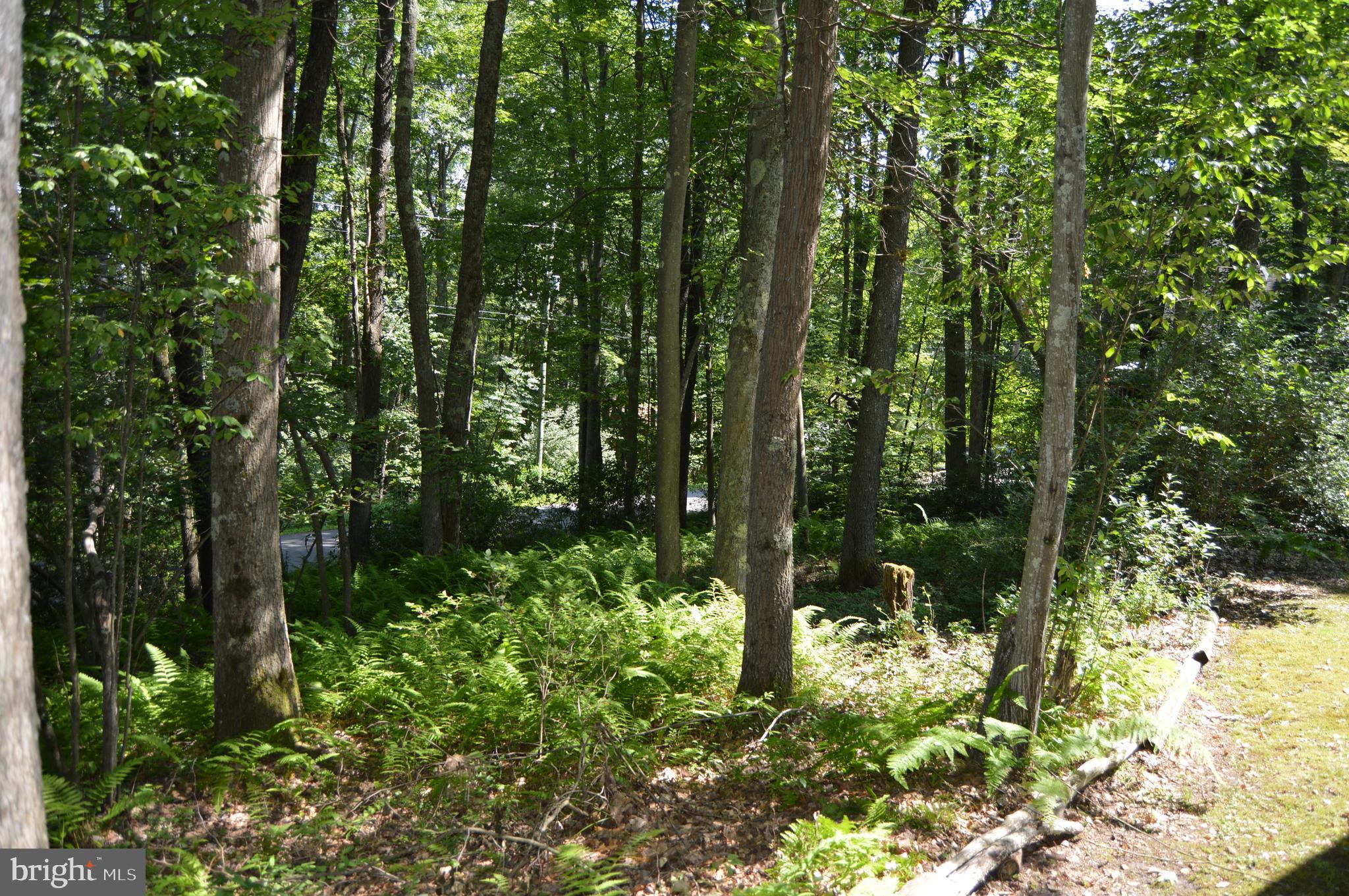 ALPINE LAKE  RESORT - Residential