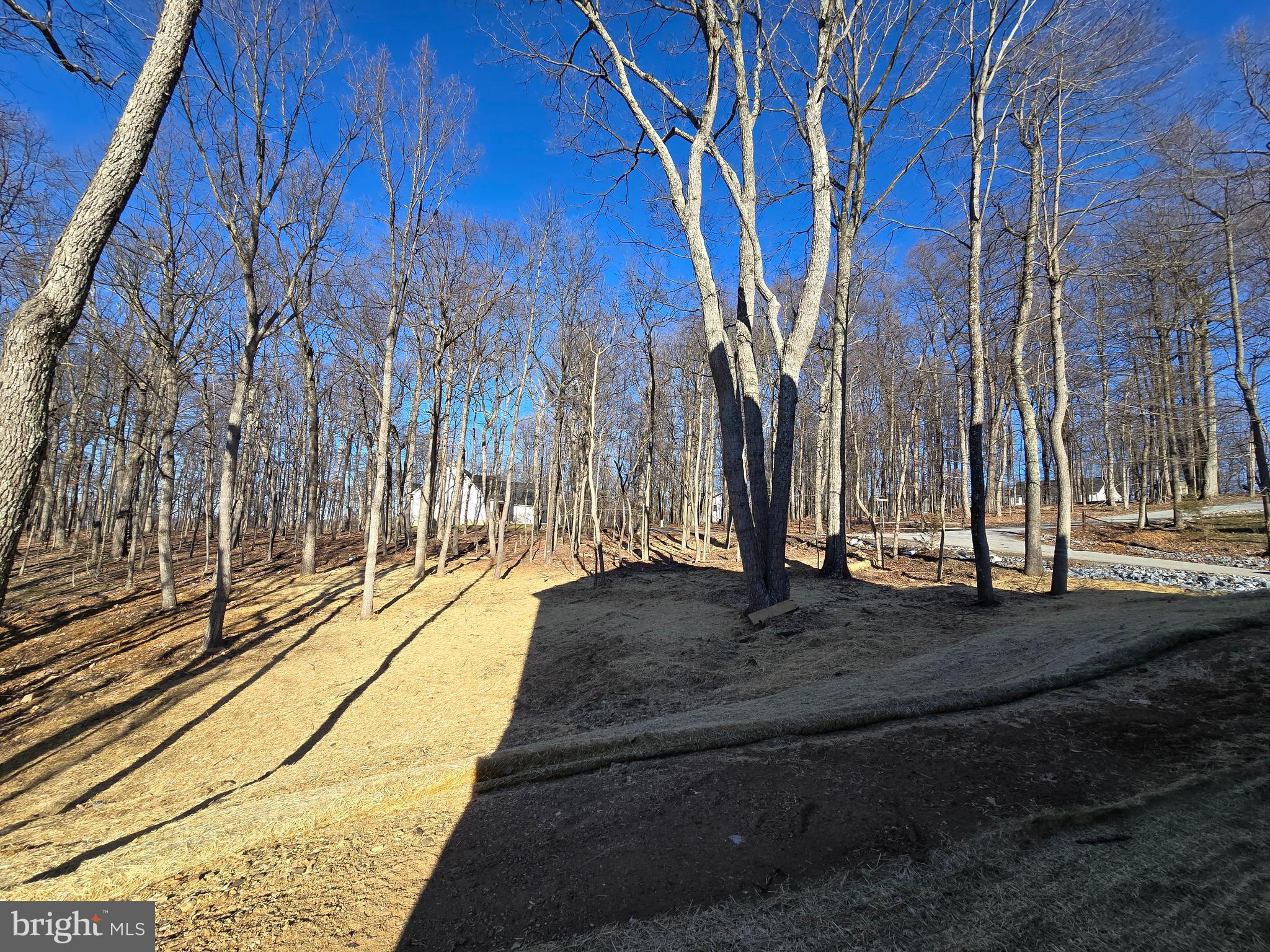 LAKE FOREST ESTATES - Residential