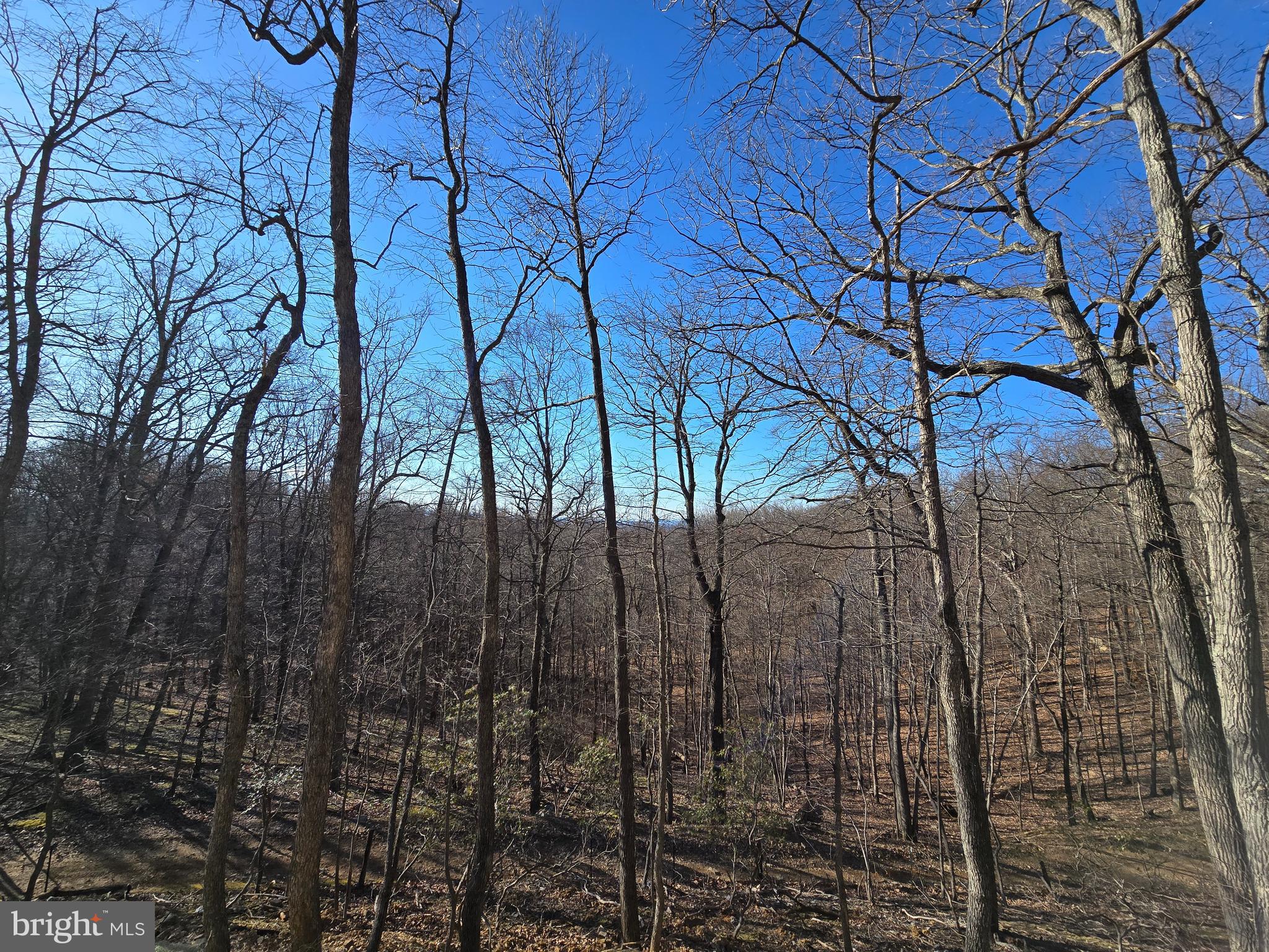 LAKE FOREST ESTATES - Residential