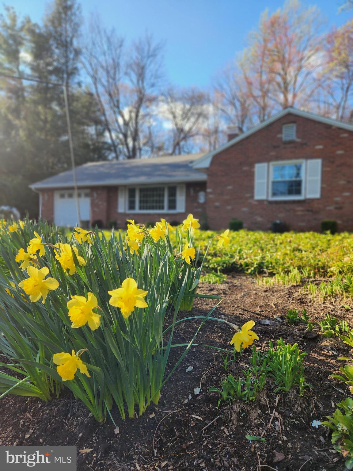 TIMBER HILLS - Residential