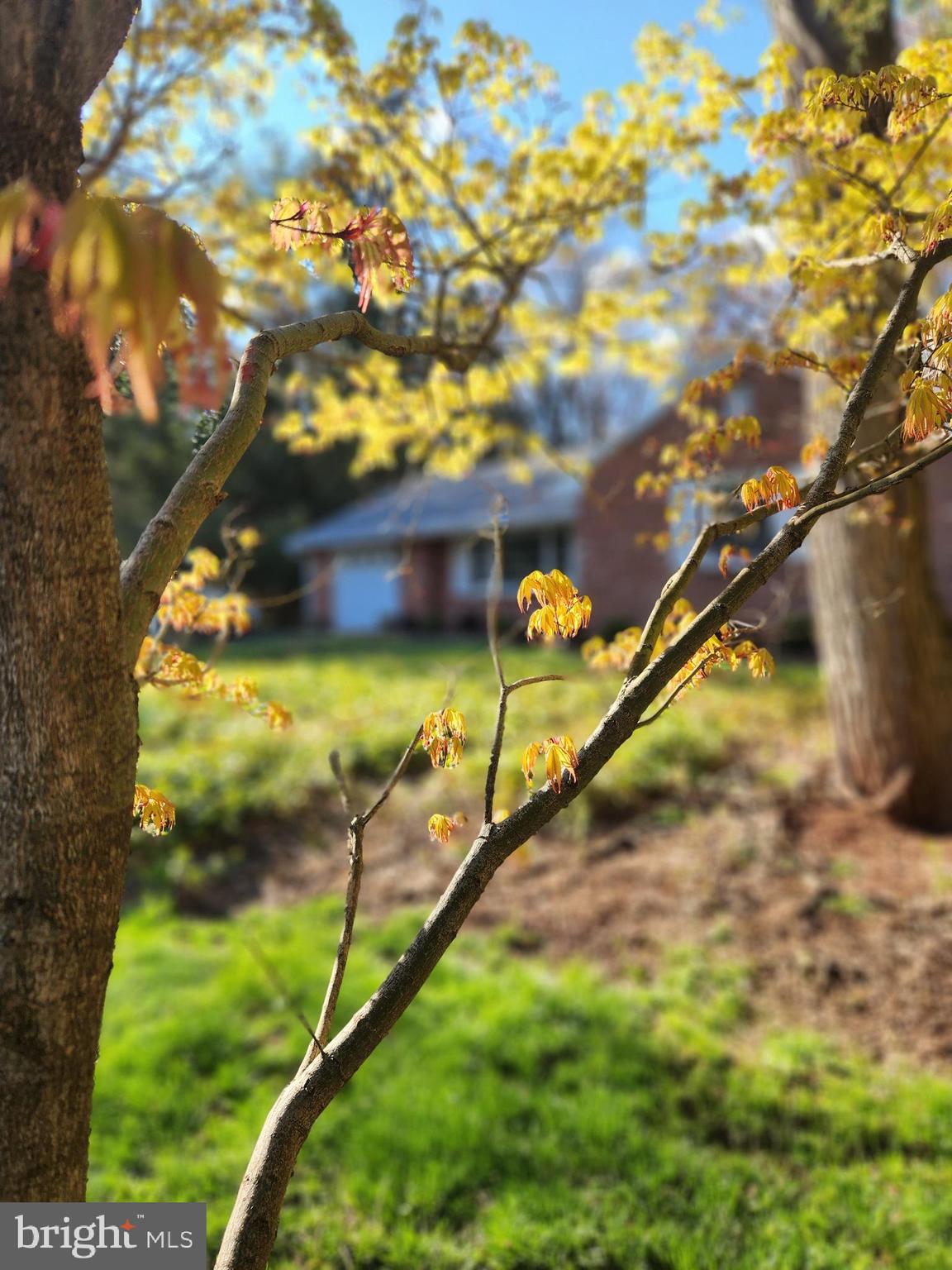 TIMBER HILLS - Residential