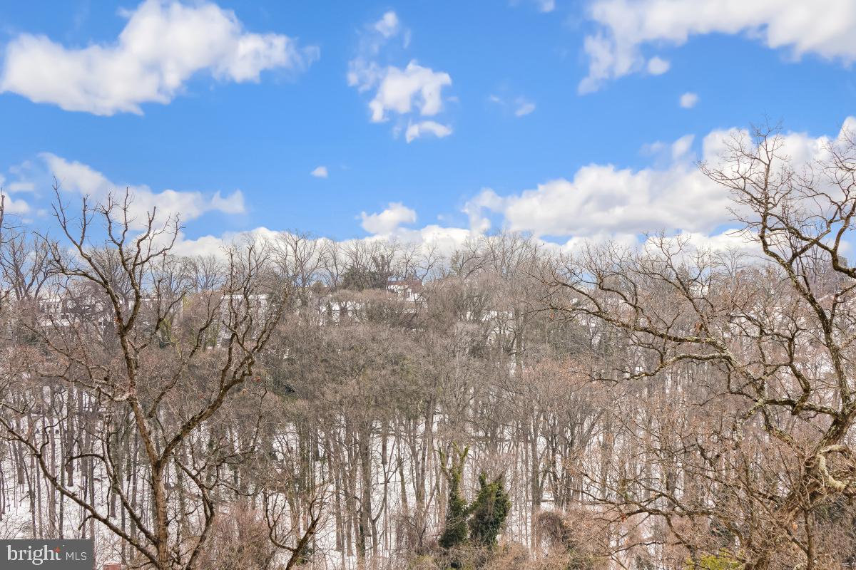 5904 MOUNT EAGLE DRIVE 516