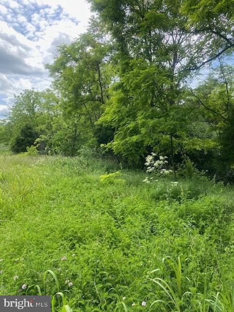 1514 KELLY ISLAND ROAD
