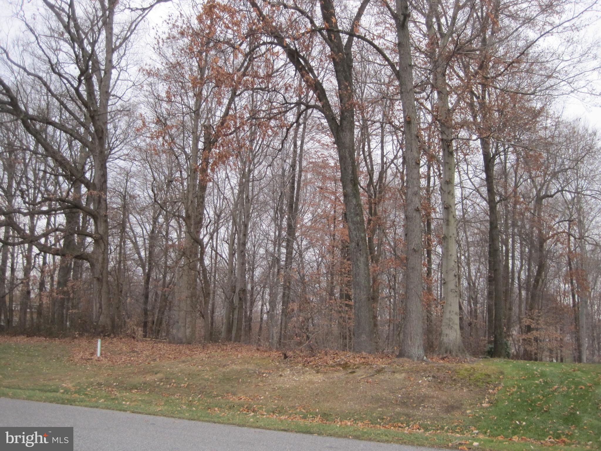 WILLOW GREEN POINT - Land