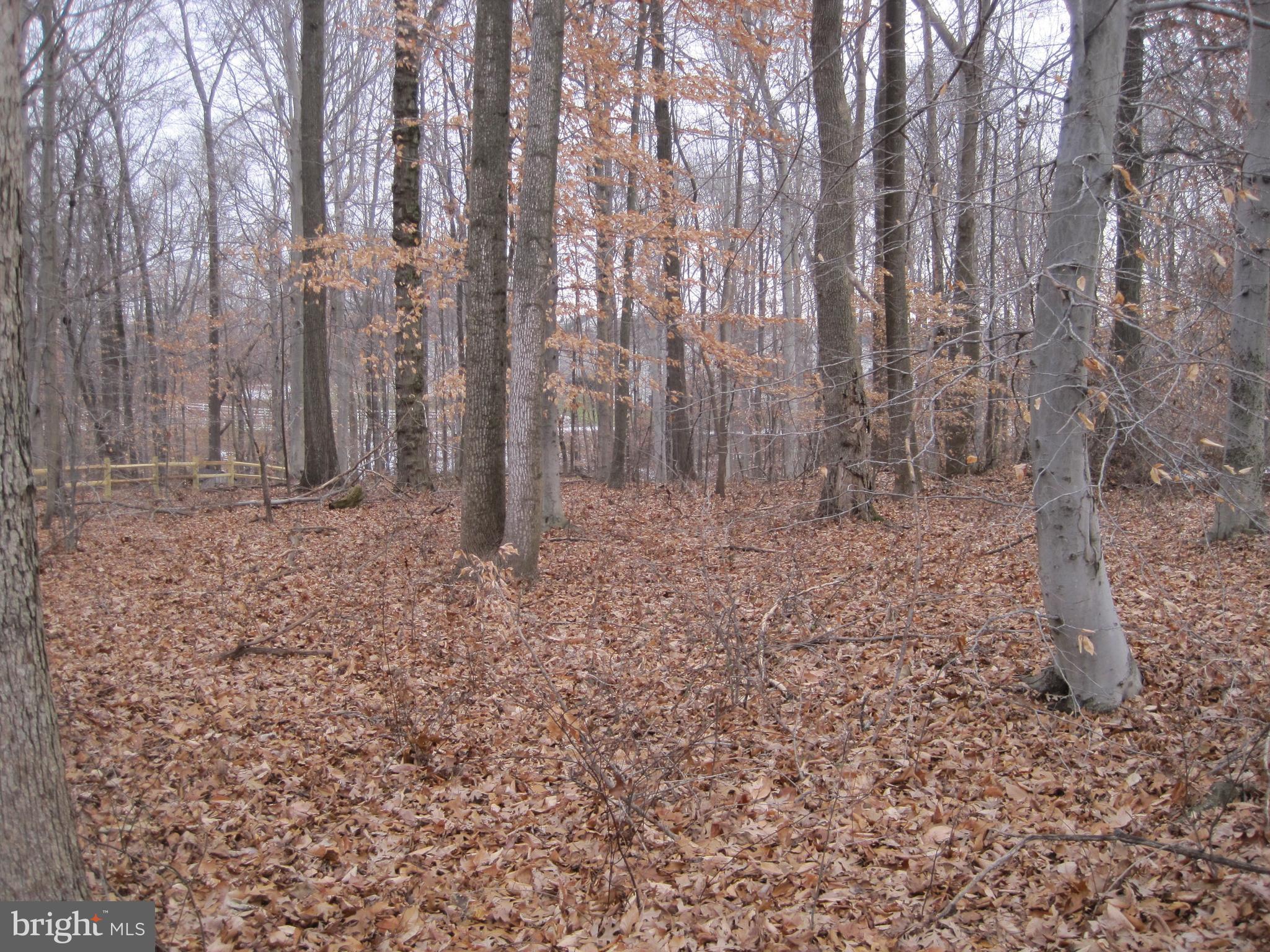 WILLOW GREEN POINT - Land