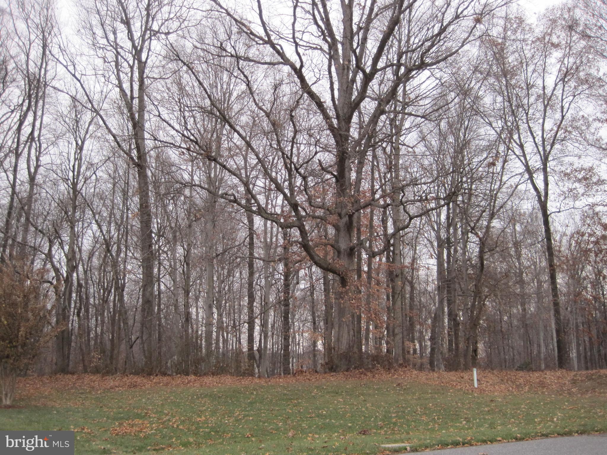 WILLOW GREEN POINT - Land