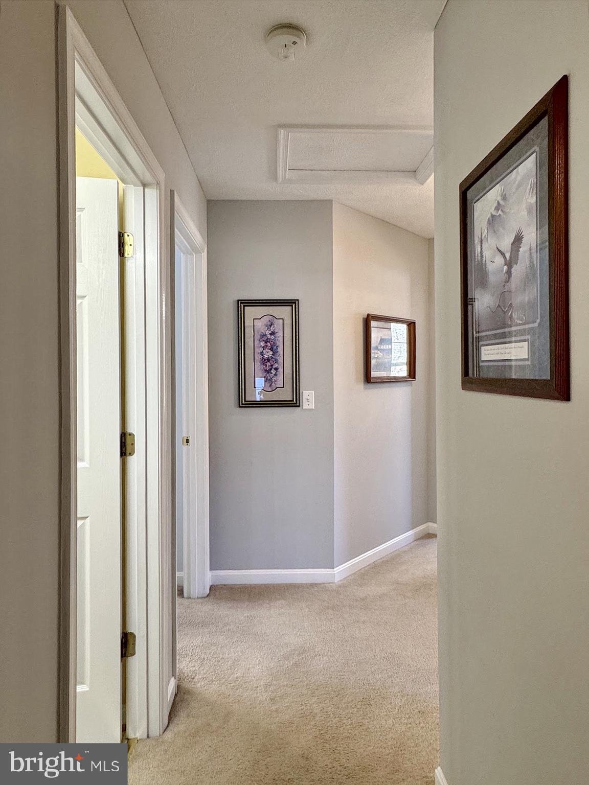 WICOMICO SHORES - Residential