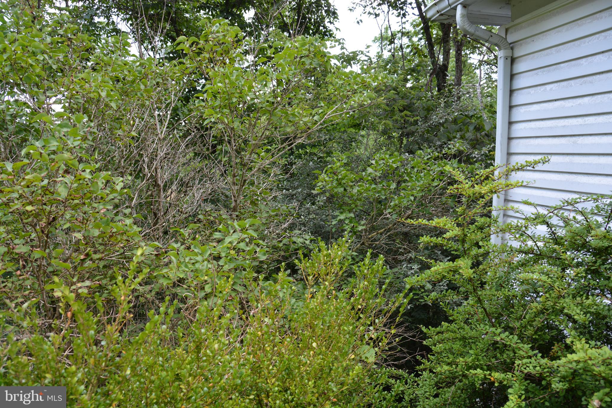 CAPON BRIDGE - Residential