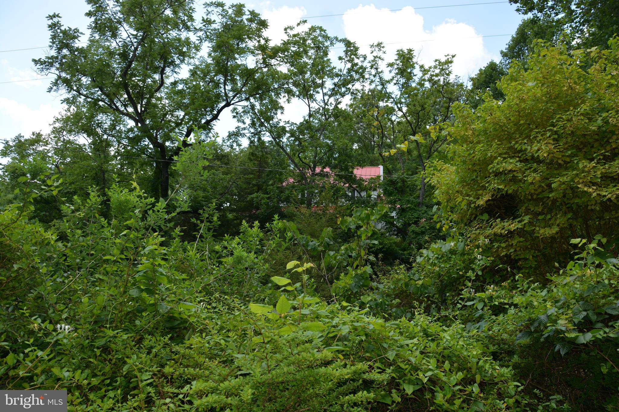 CAPON BRIDGE - Residential