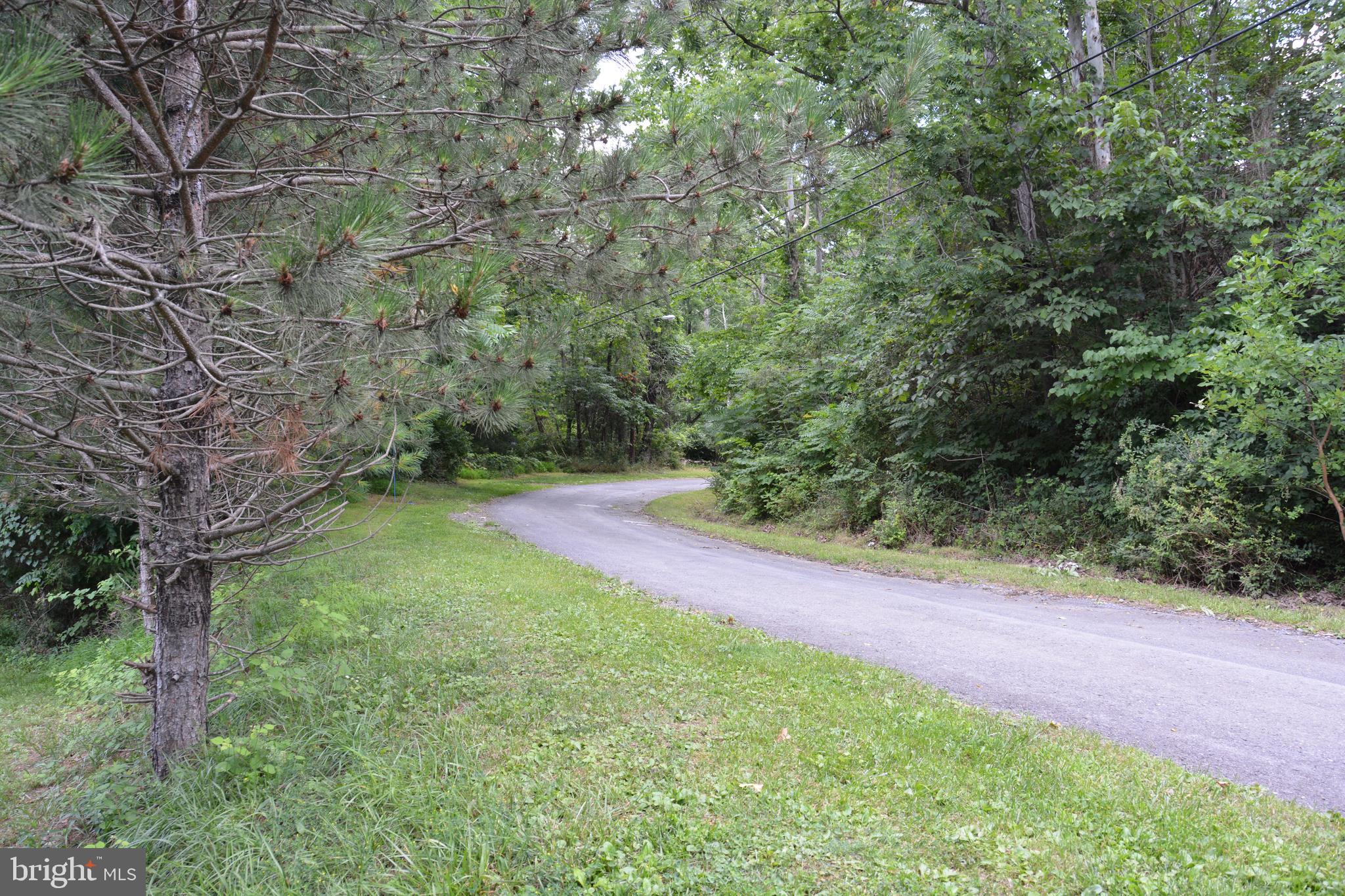 CAPON BRIDGE - Residential