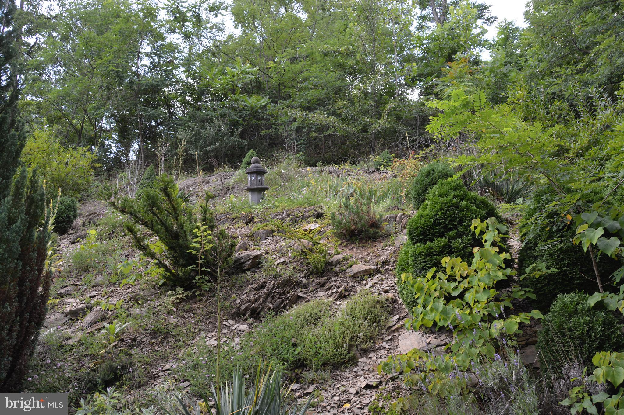 CAPON BRIDGE - Residential