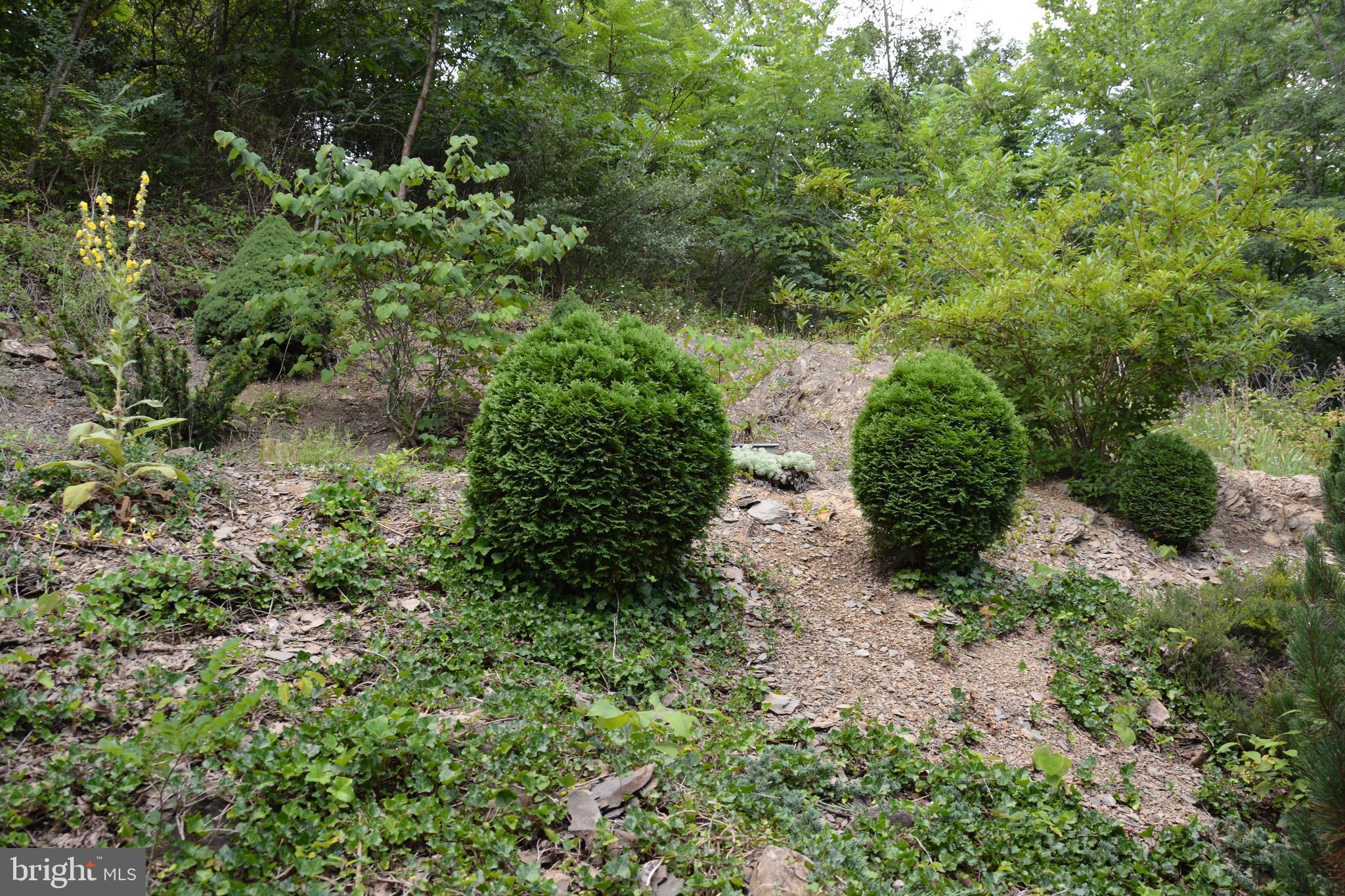 CAPON BRIDGE - Residential