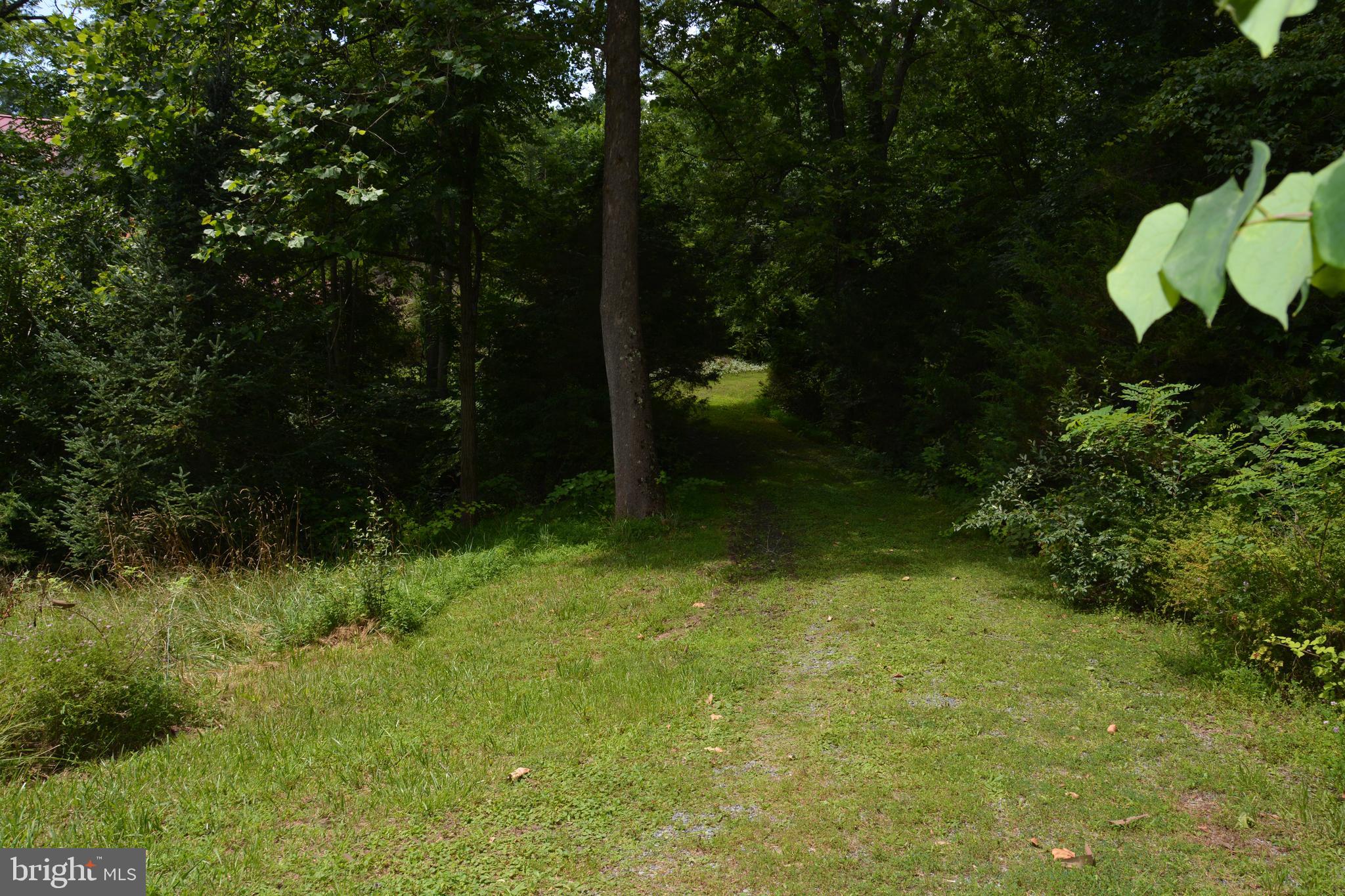 CAPON BRIDGE - Residential