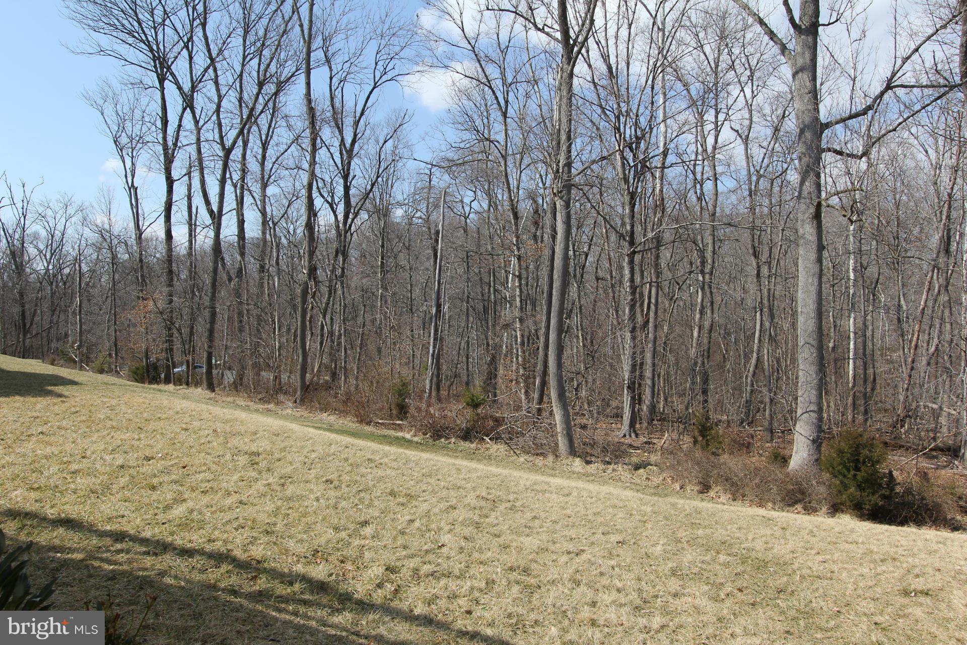 LANSDOWNE ON THE POTOMAC - Residential