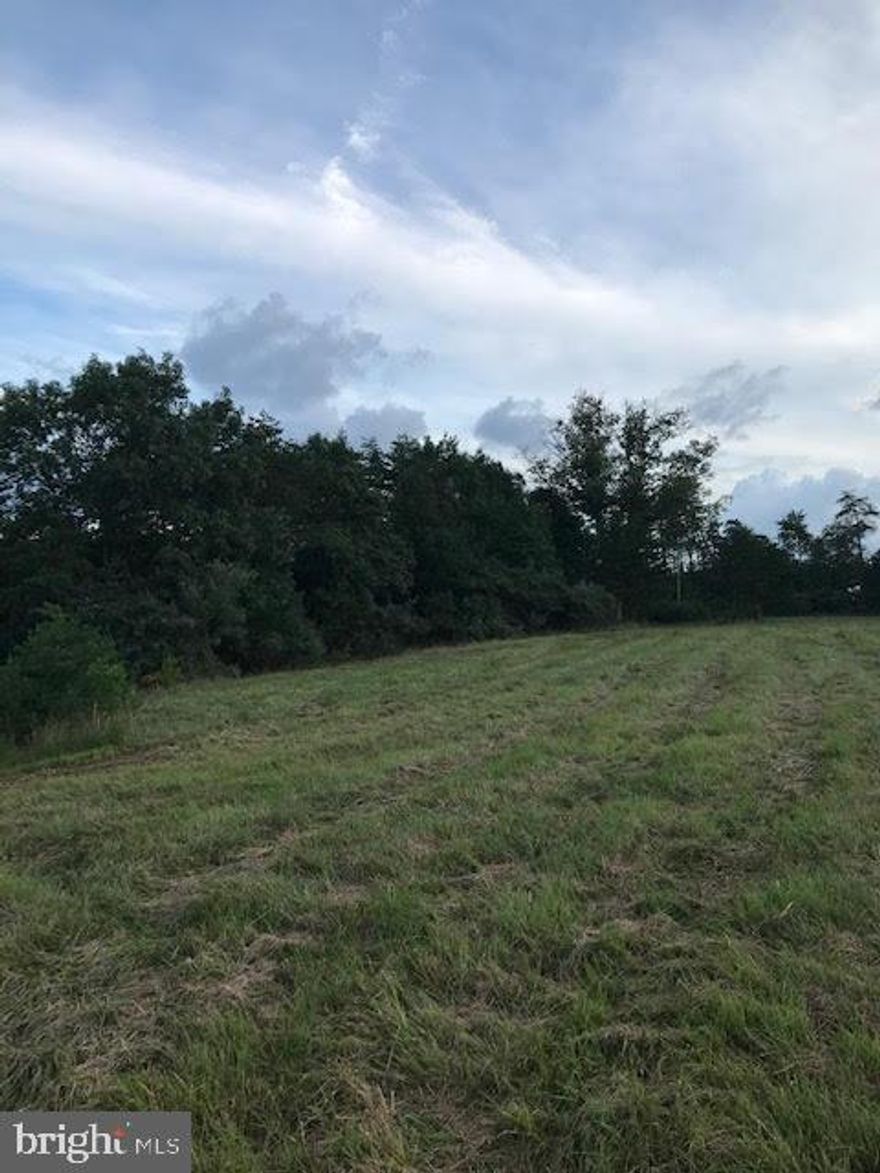 Build your dream home on this secluded parcel just minutes from Winchester.  This 12.32 Ac parcels consists of two parcels: VAFV159214 (5.143 AC) and VAFV159250 (7.173 AC).    The front parcel is mostly flat and cleared and the rear parcel is wooded.   4 BR approved alternative septic on each parcel.