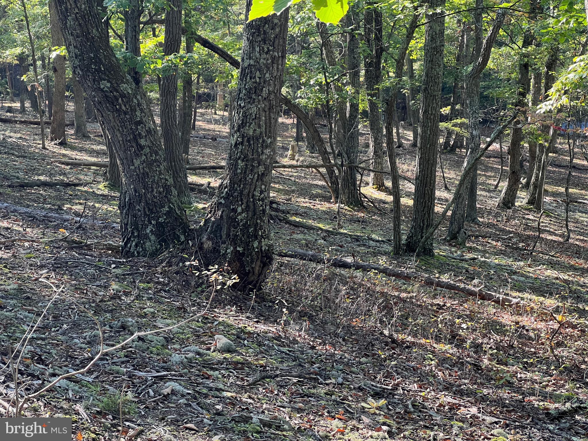 WHITETAIL RIDGE - Land