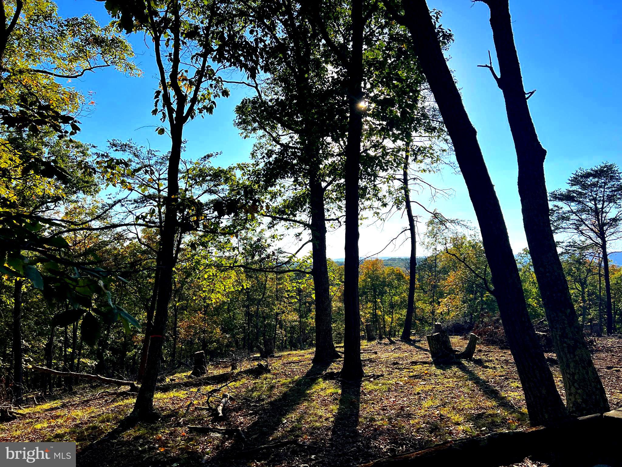 WHITETAIL RIDGE - Land