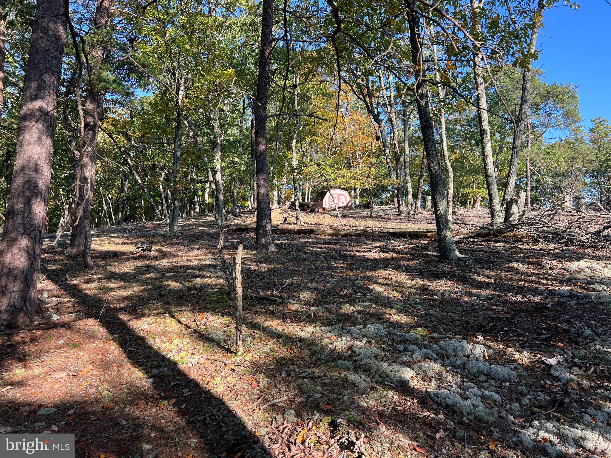 WHITETAIL RIDGE - Land