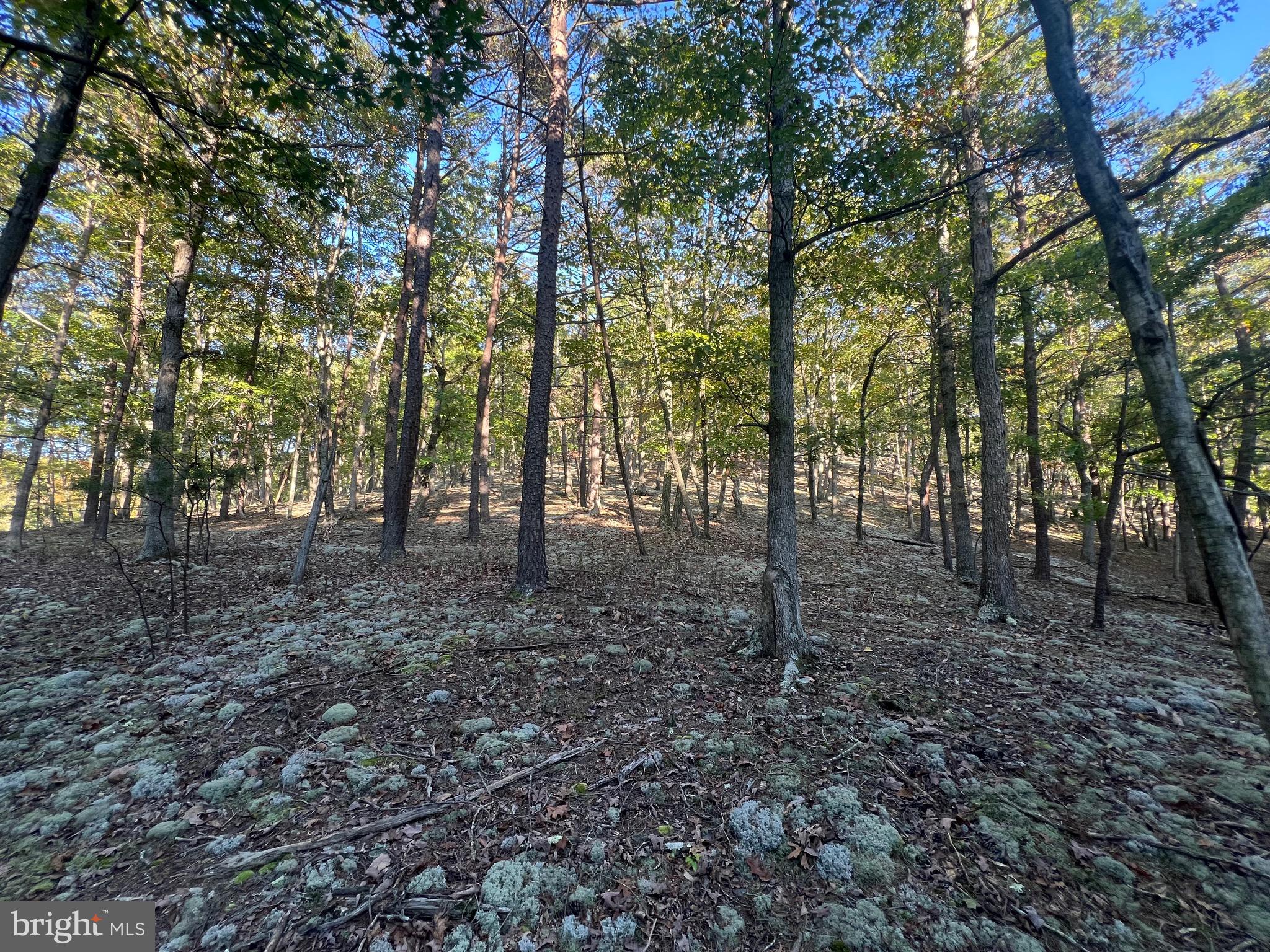 WHITETAIL RIDGE - Land