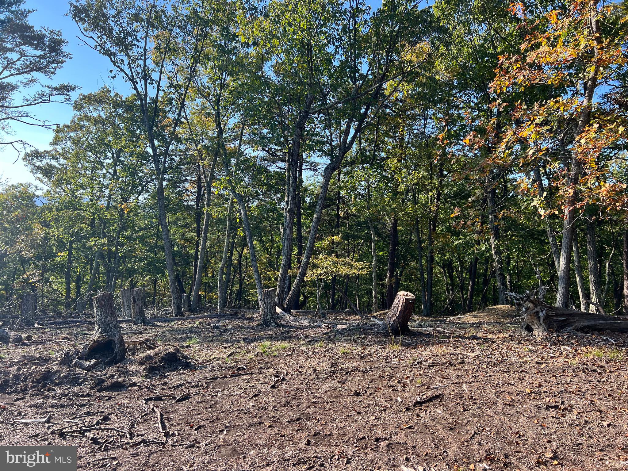 WHITETAIL RIDGE - Land