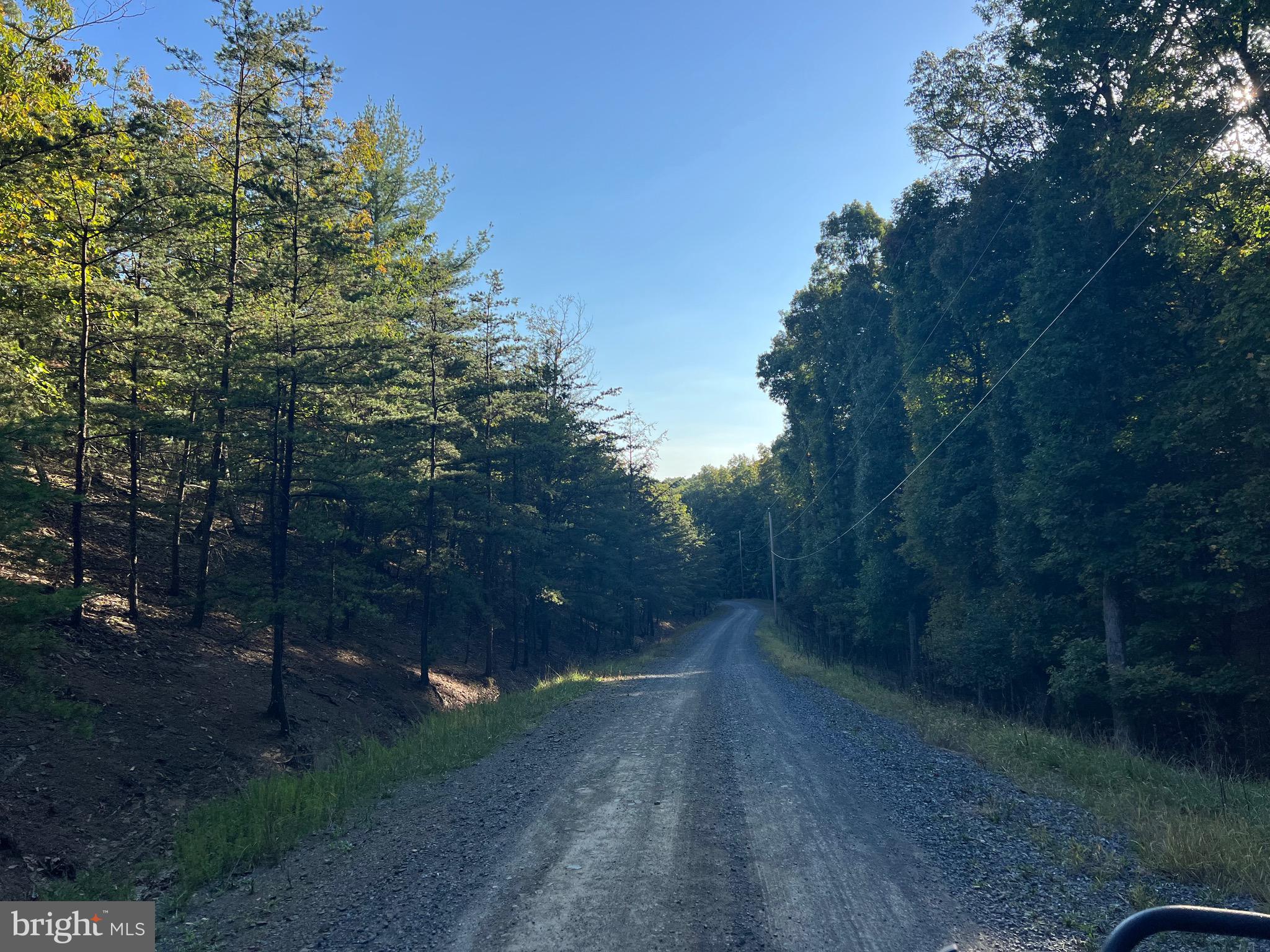 WHITETAIL RIDGE - Land