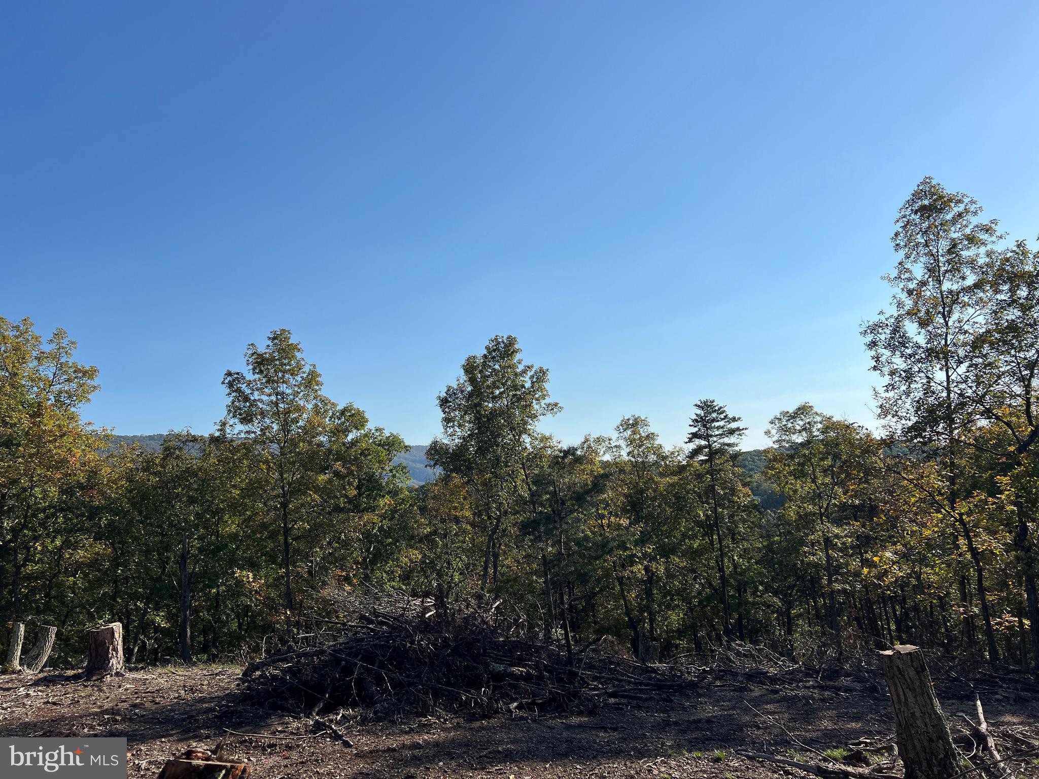 WHITETAIL RIDGE - Land