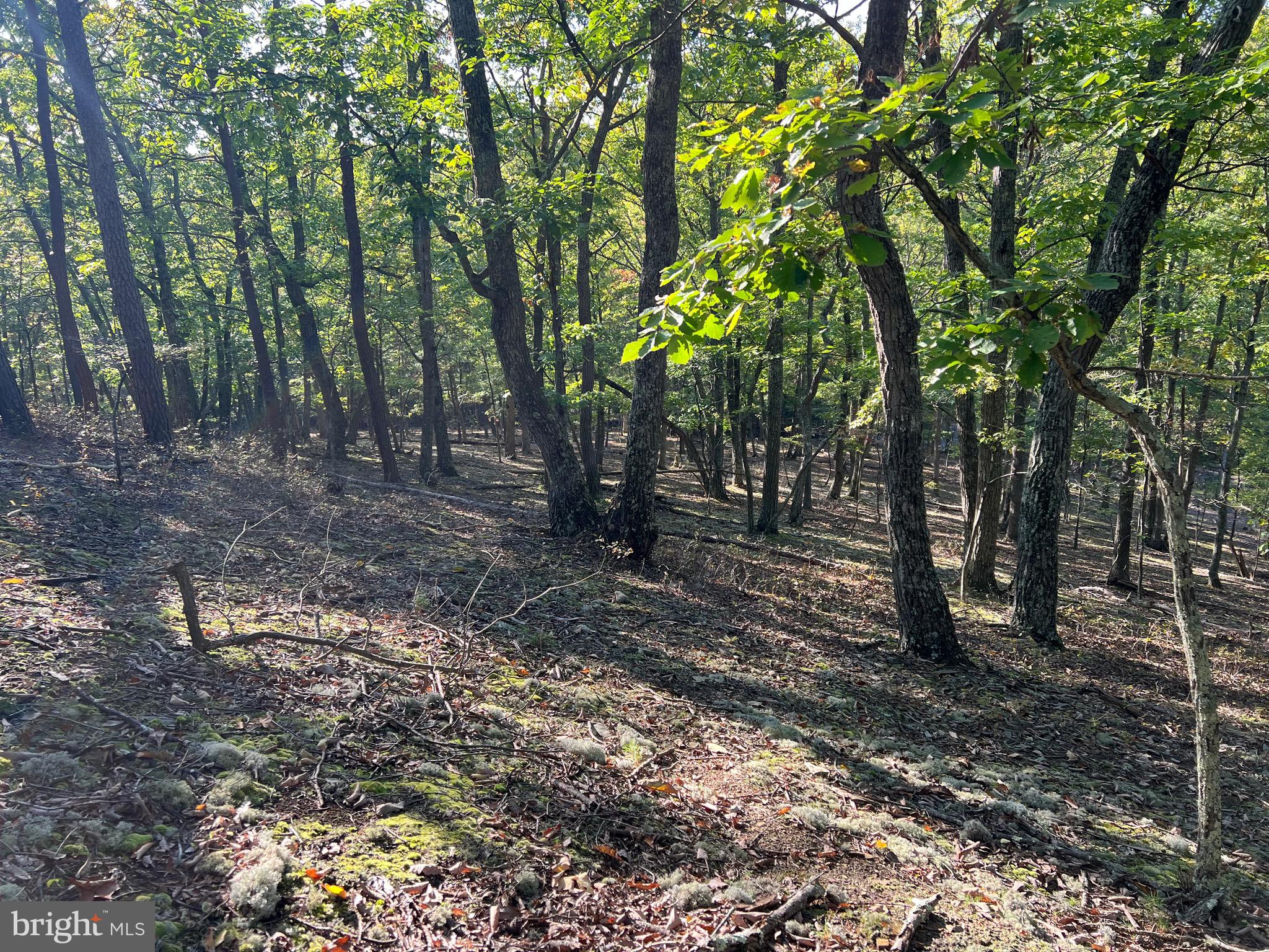 WHITETAIL RIDGE - Land