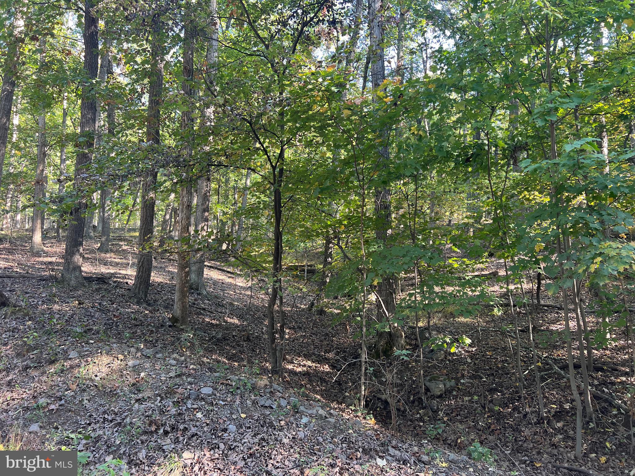 WHITETAIL RIDGE - Land