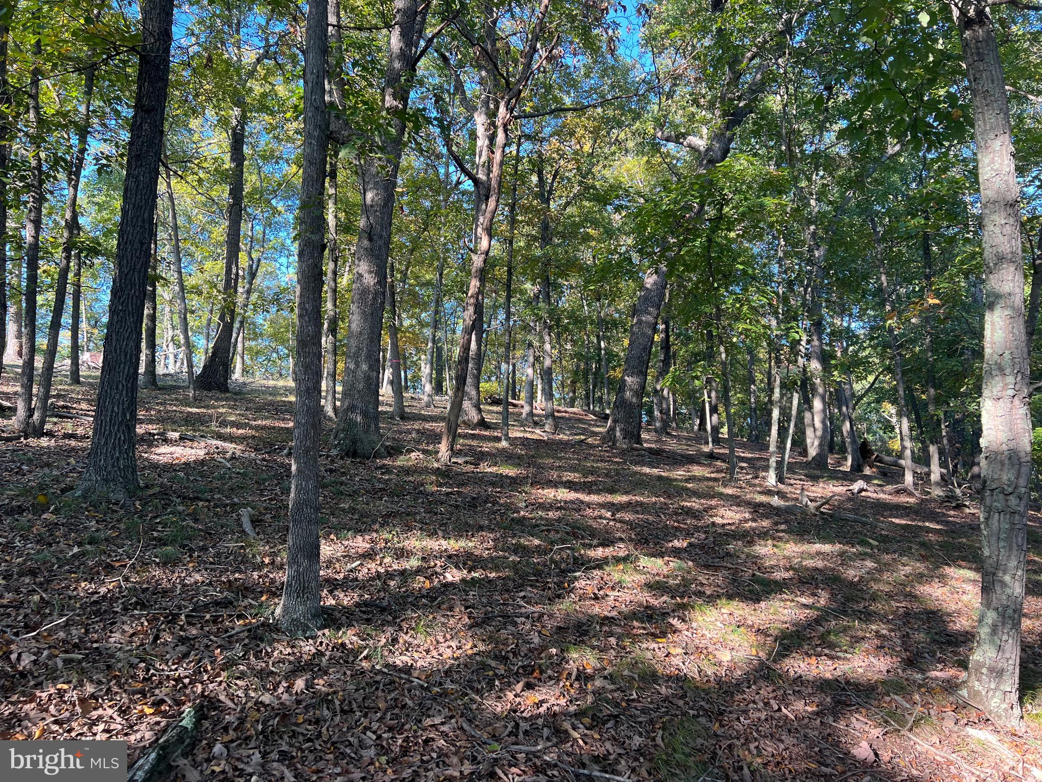 WHITETAIL RIDGE - Land