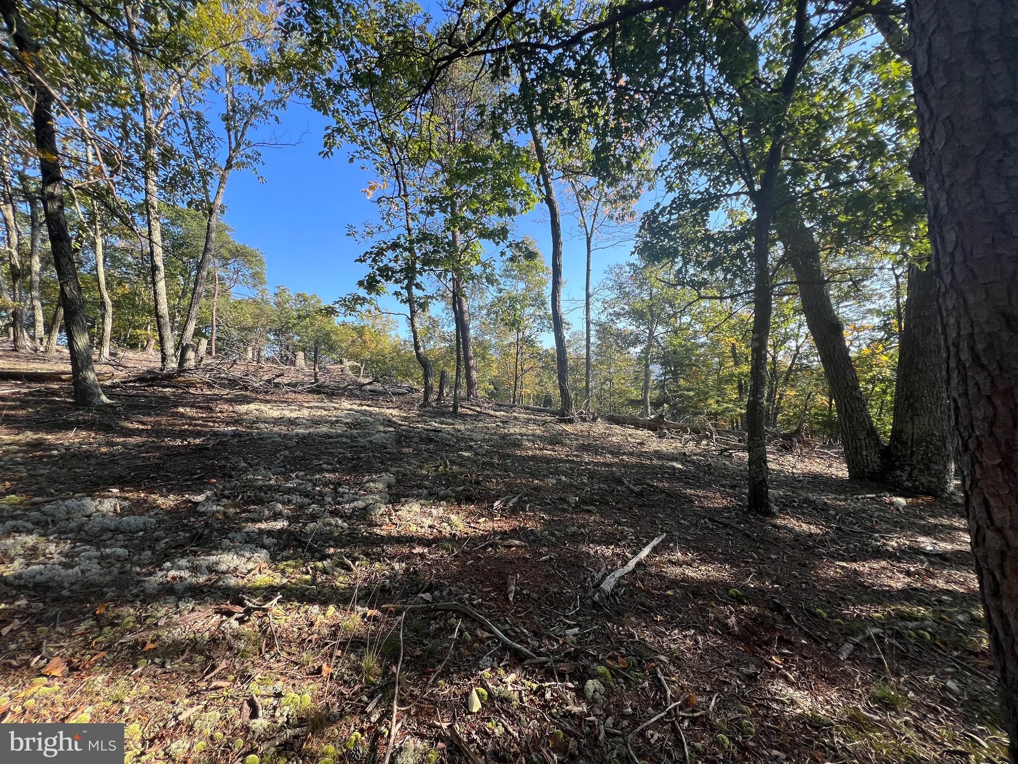 WHITETAIL RIDGE - Land