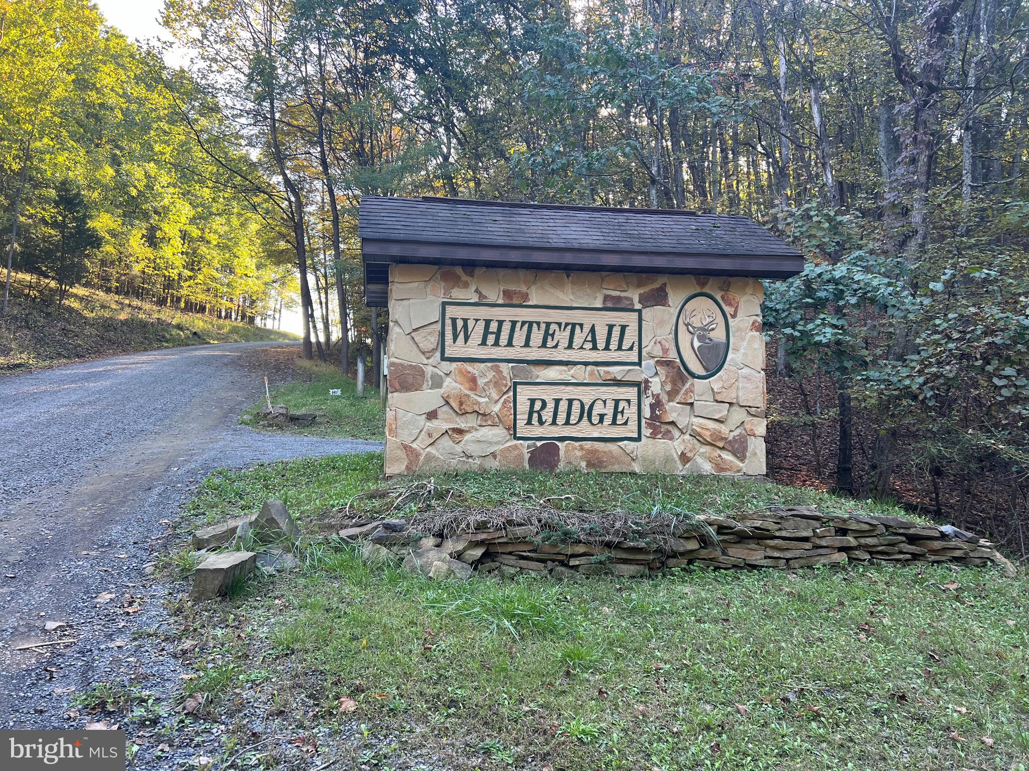 WHITETAIL RIDGE - Land