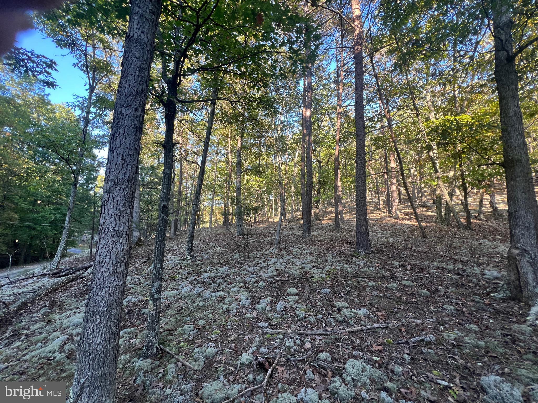 WHITETAIL RIDGE - Land