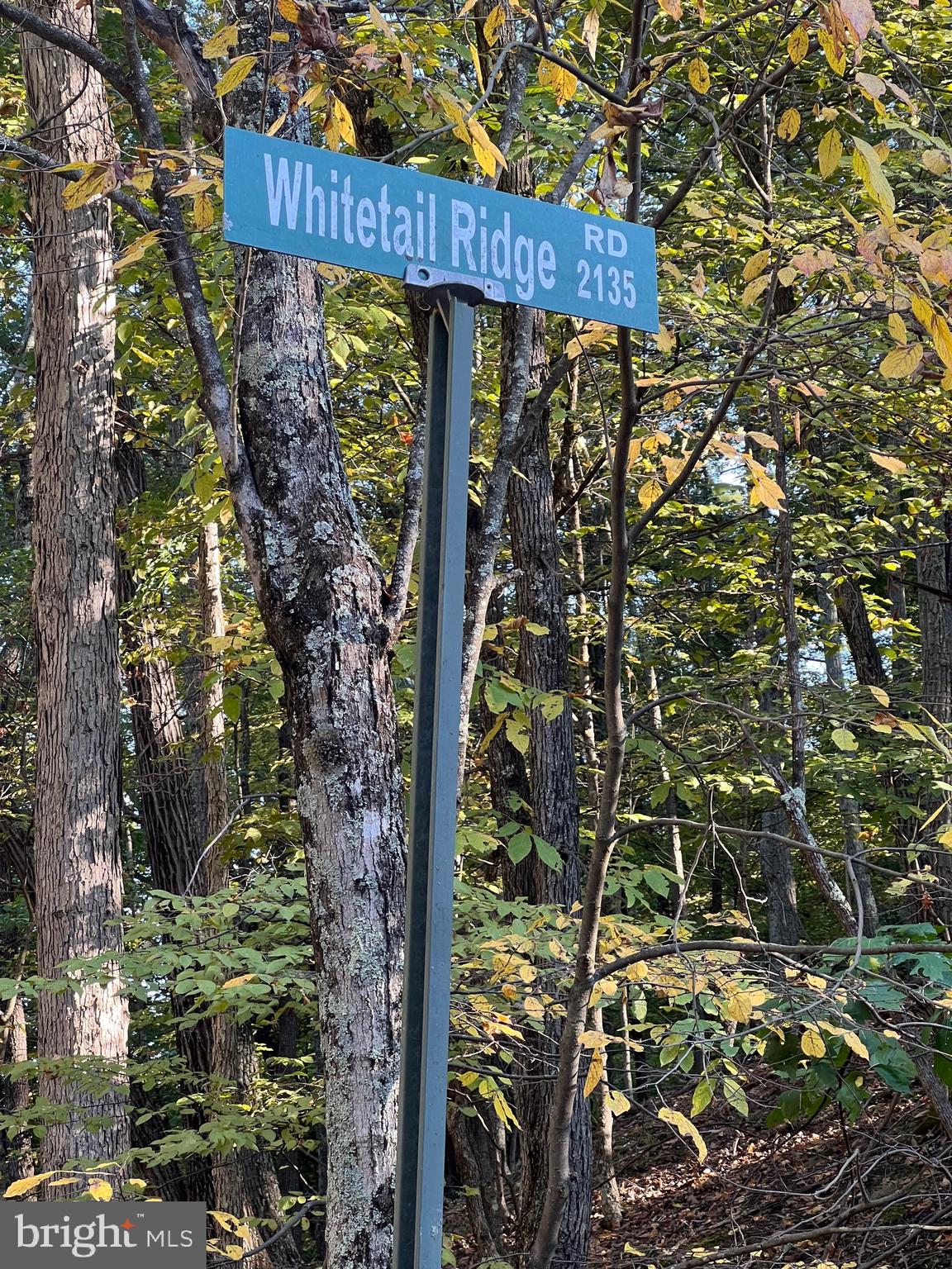 WHITETAIL RIDGE - Land