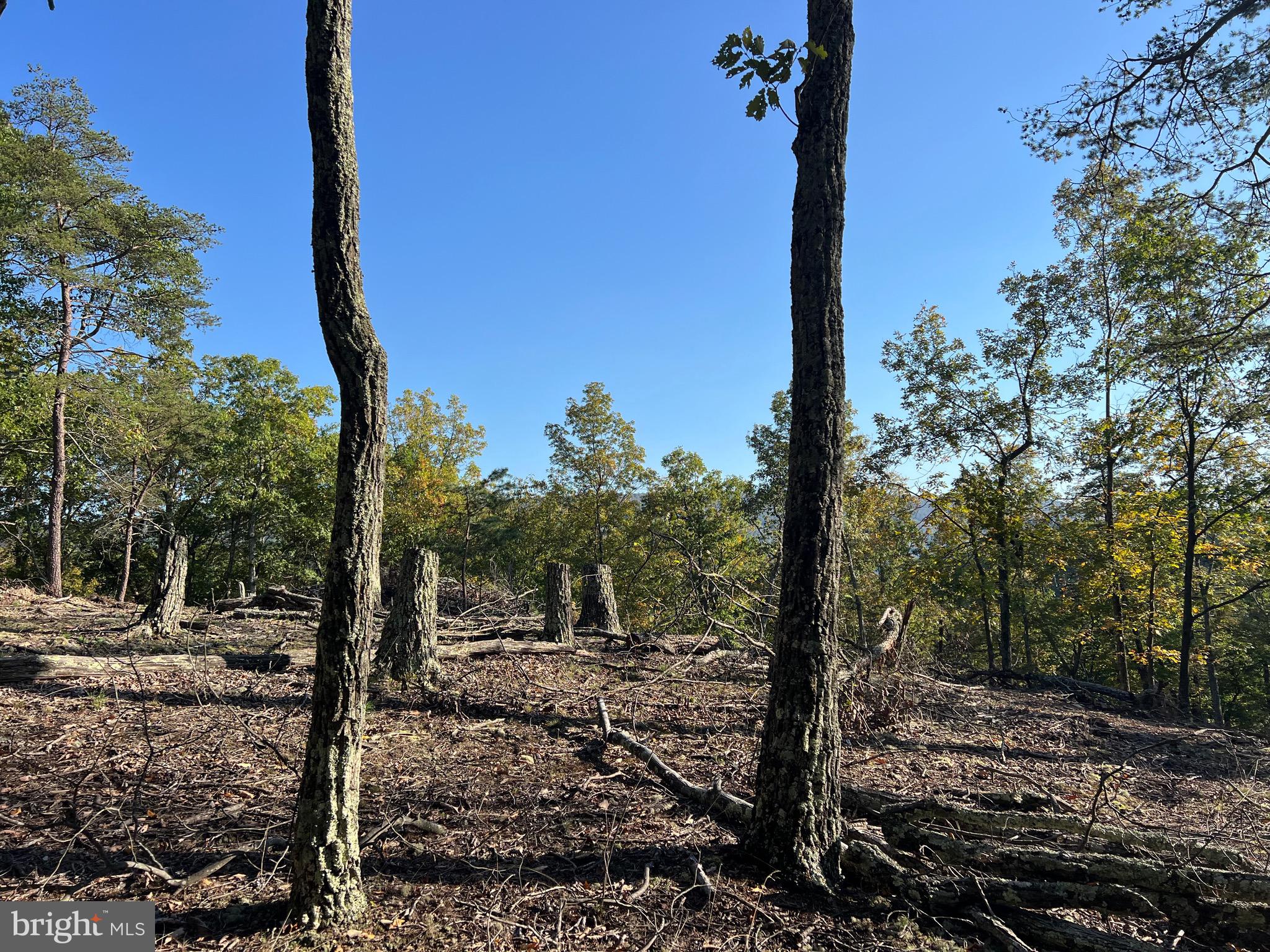 WHITETAIL RIDGE - Land