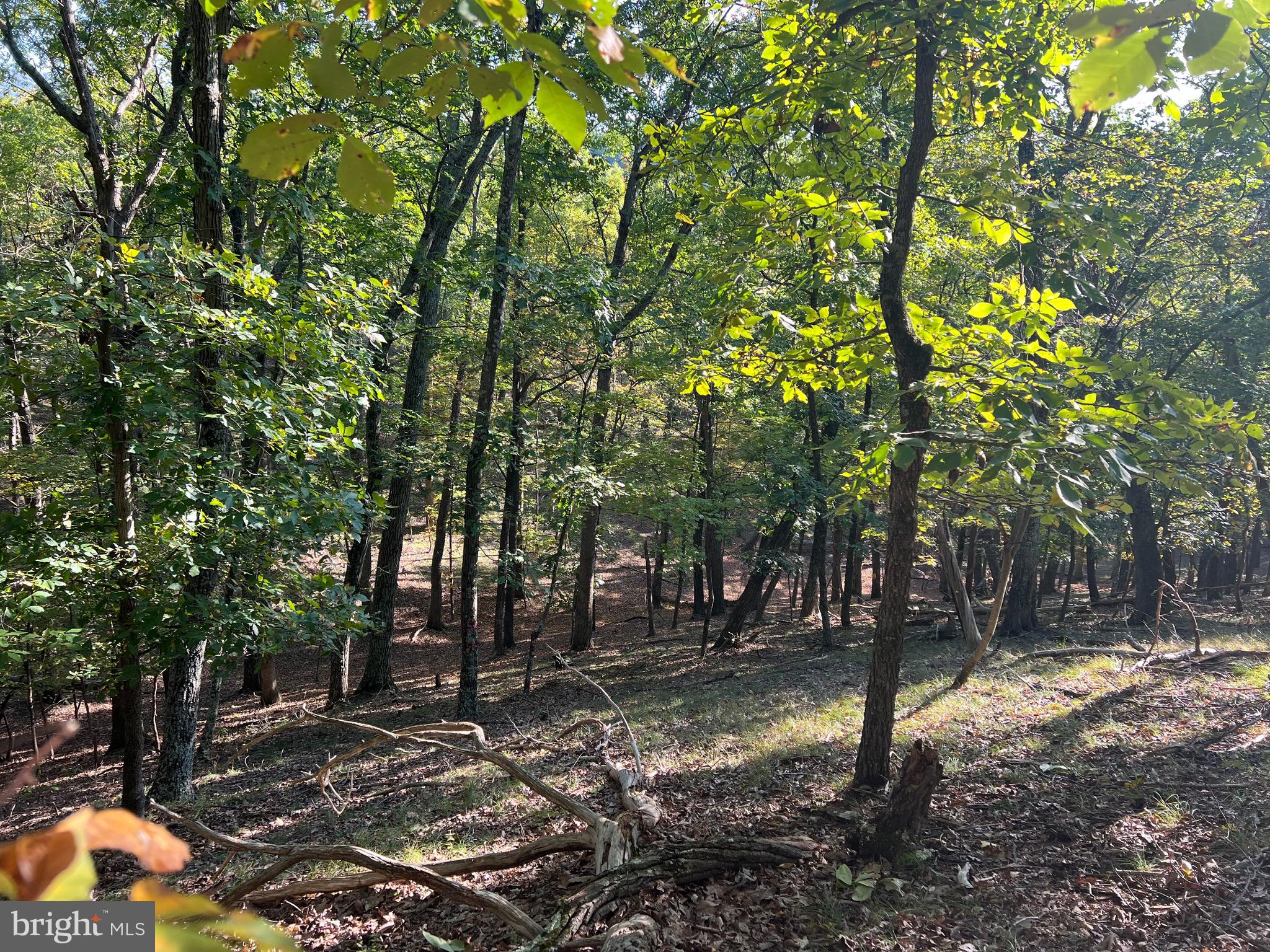 WHITETAIL RIDGE - Land