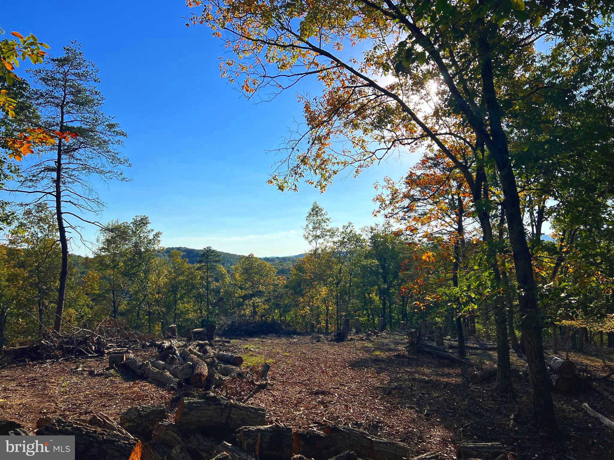 Beautiful, secluded, wooded lot with building site cleared on top of the ridge to afford south western views. Easy access. Build tiny house, cabin, full time residence or investment property! Great getaway or use for your private whitetail hunting spot!